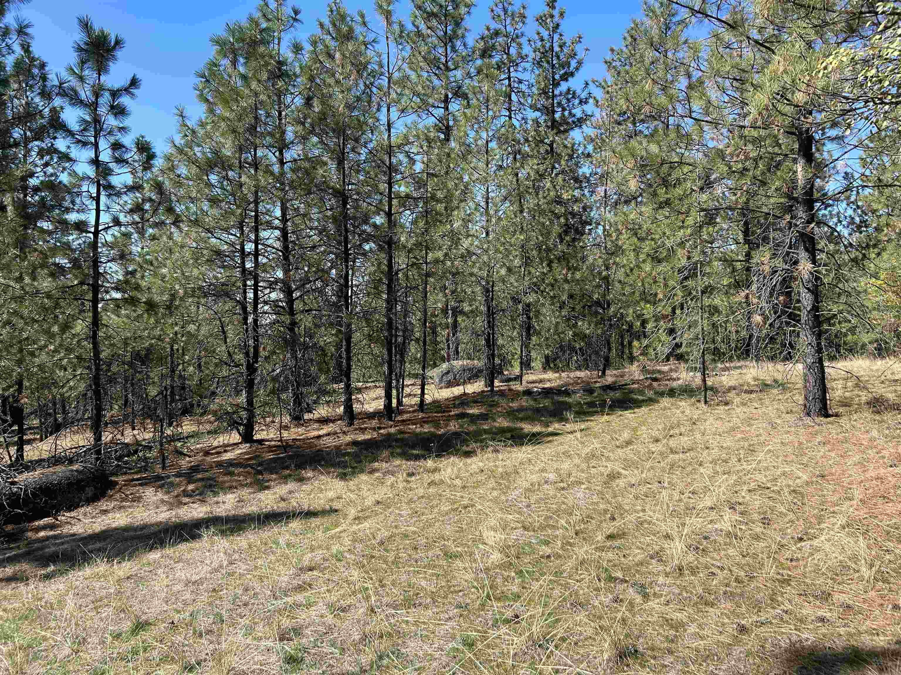 NNA Corkscrew Canyon Rd - Photo 17