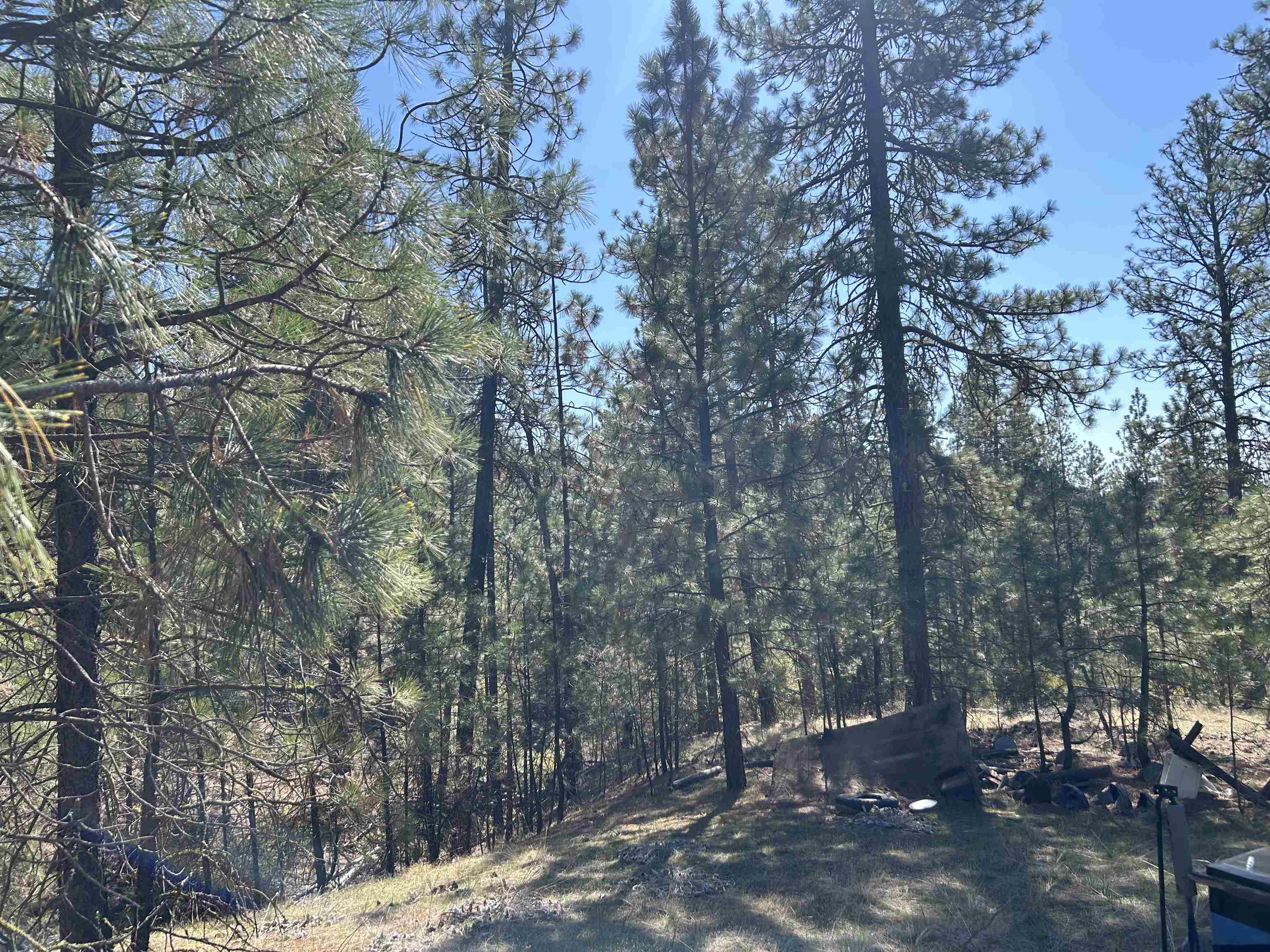 NNA Corkscrew Canyon Rd - Photo 18