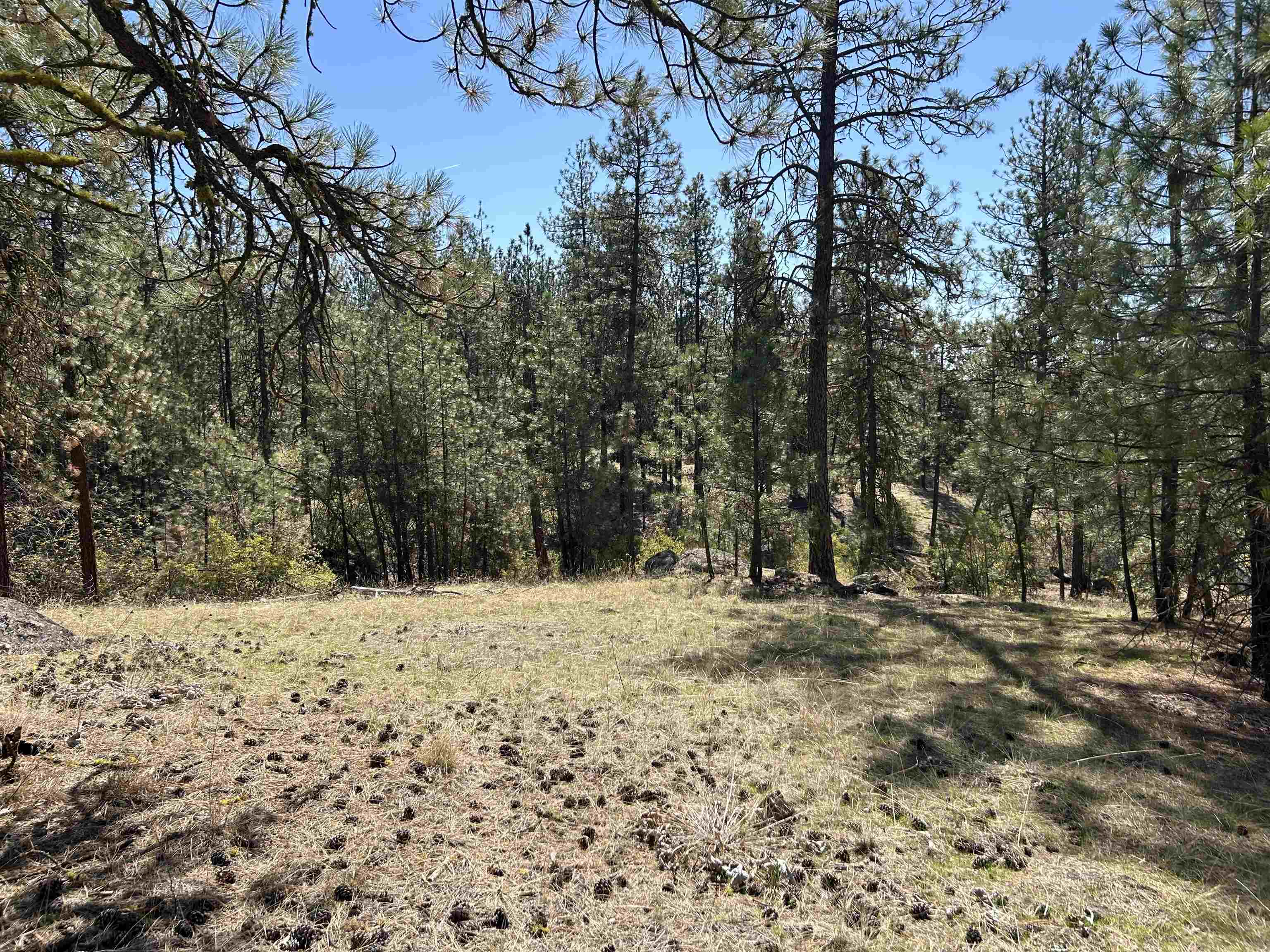NNA Corkscrew Canyon Rd - Photo 19
