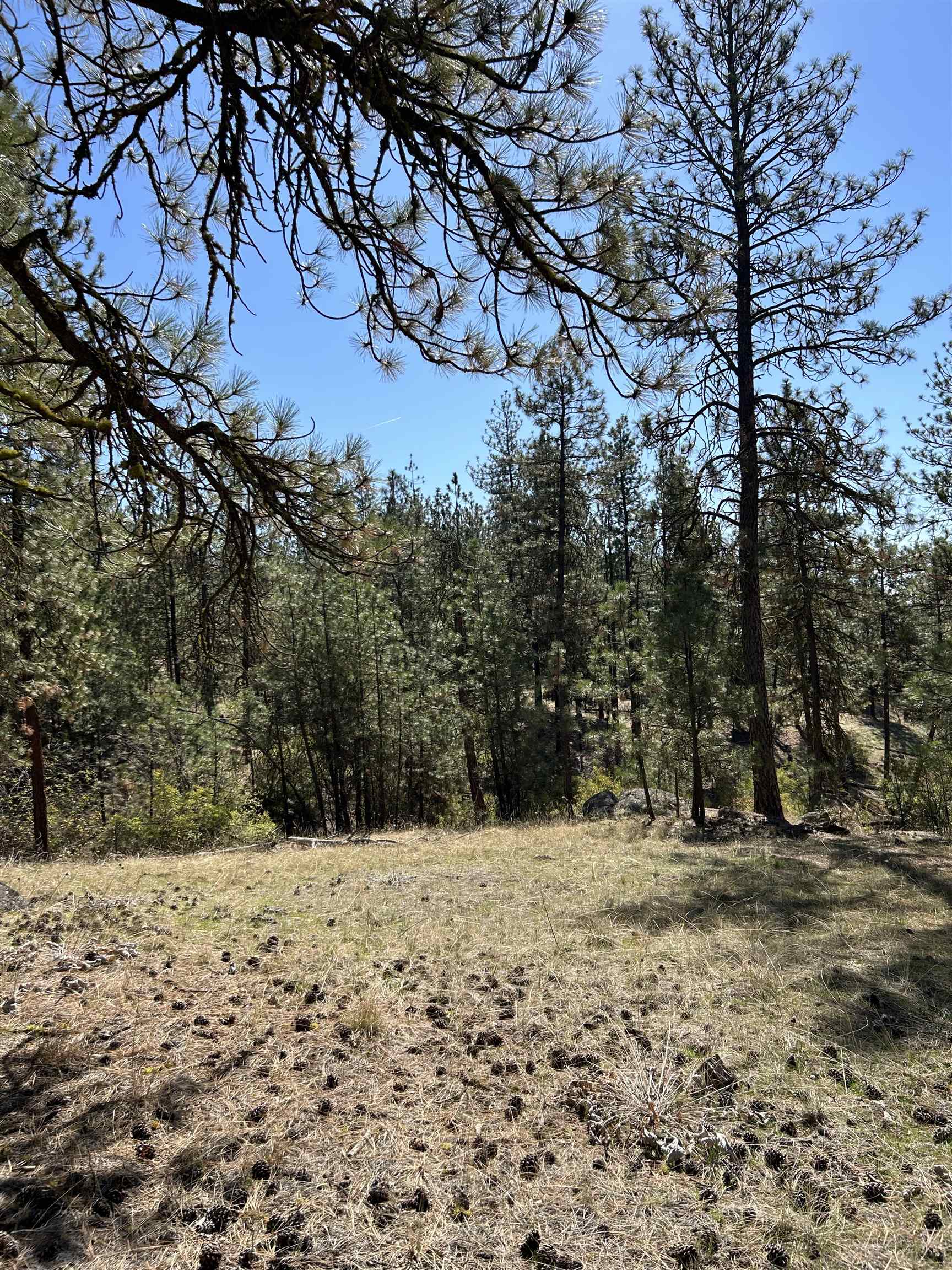 NNA Corkscrew Canyon Rd - Photo 20