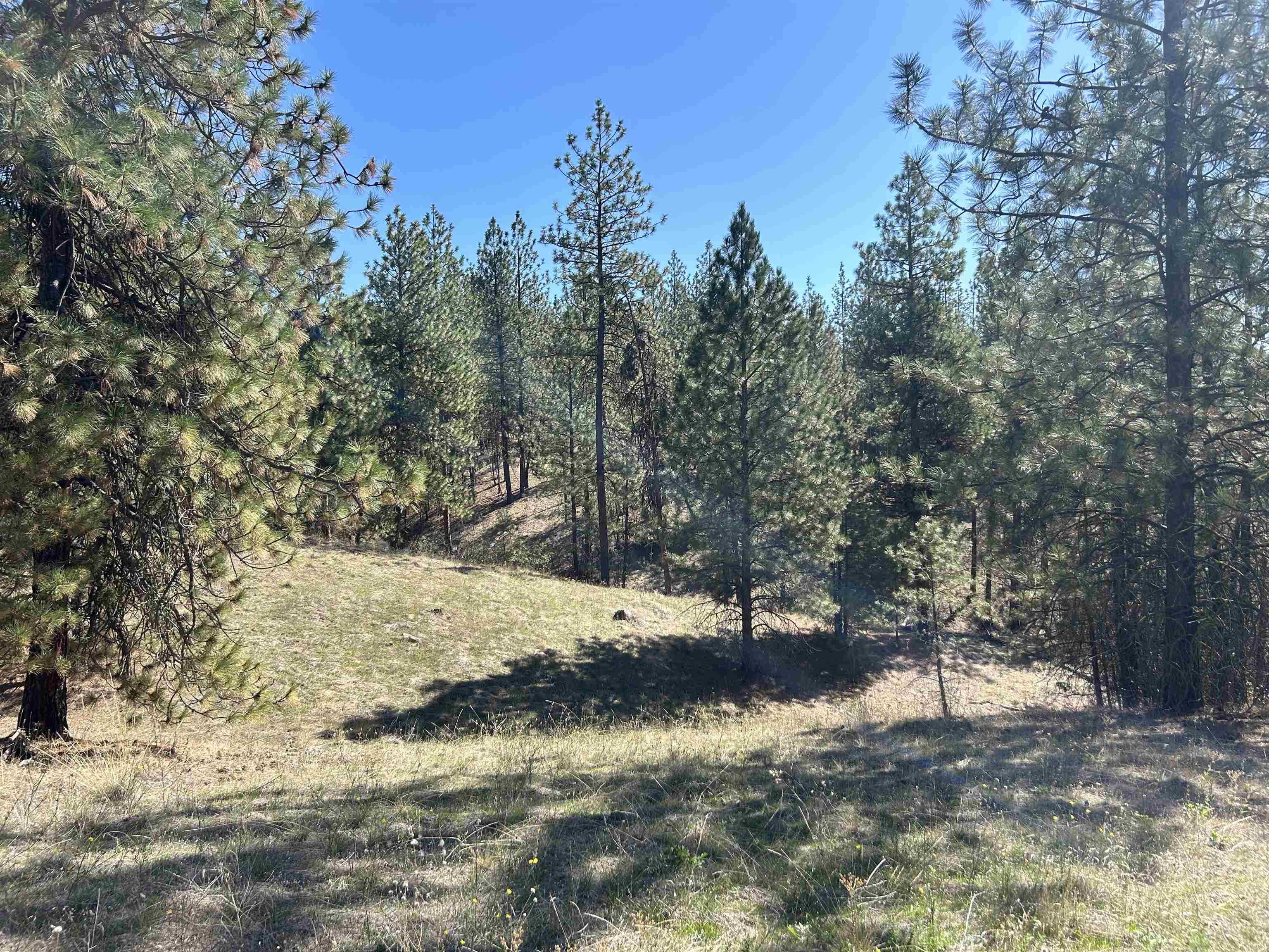 NNA Corkscrew Canyon Rd - Photo 3