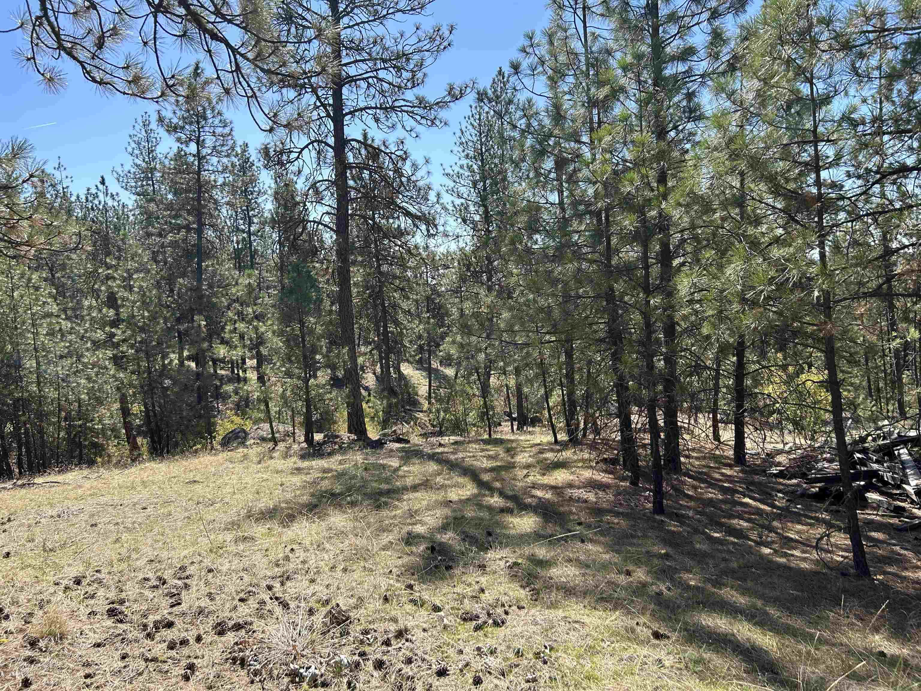NNA Corkscrew Canyon Rd - Photo 21