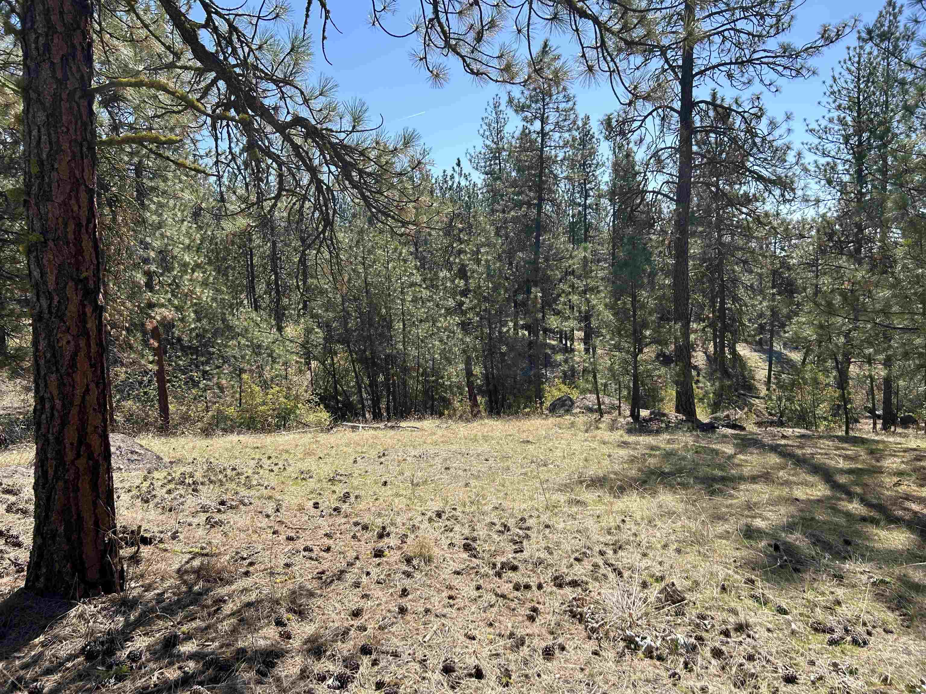 NNA Corkscrew Canyon Rd - Photo 22