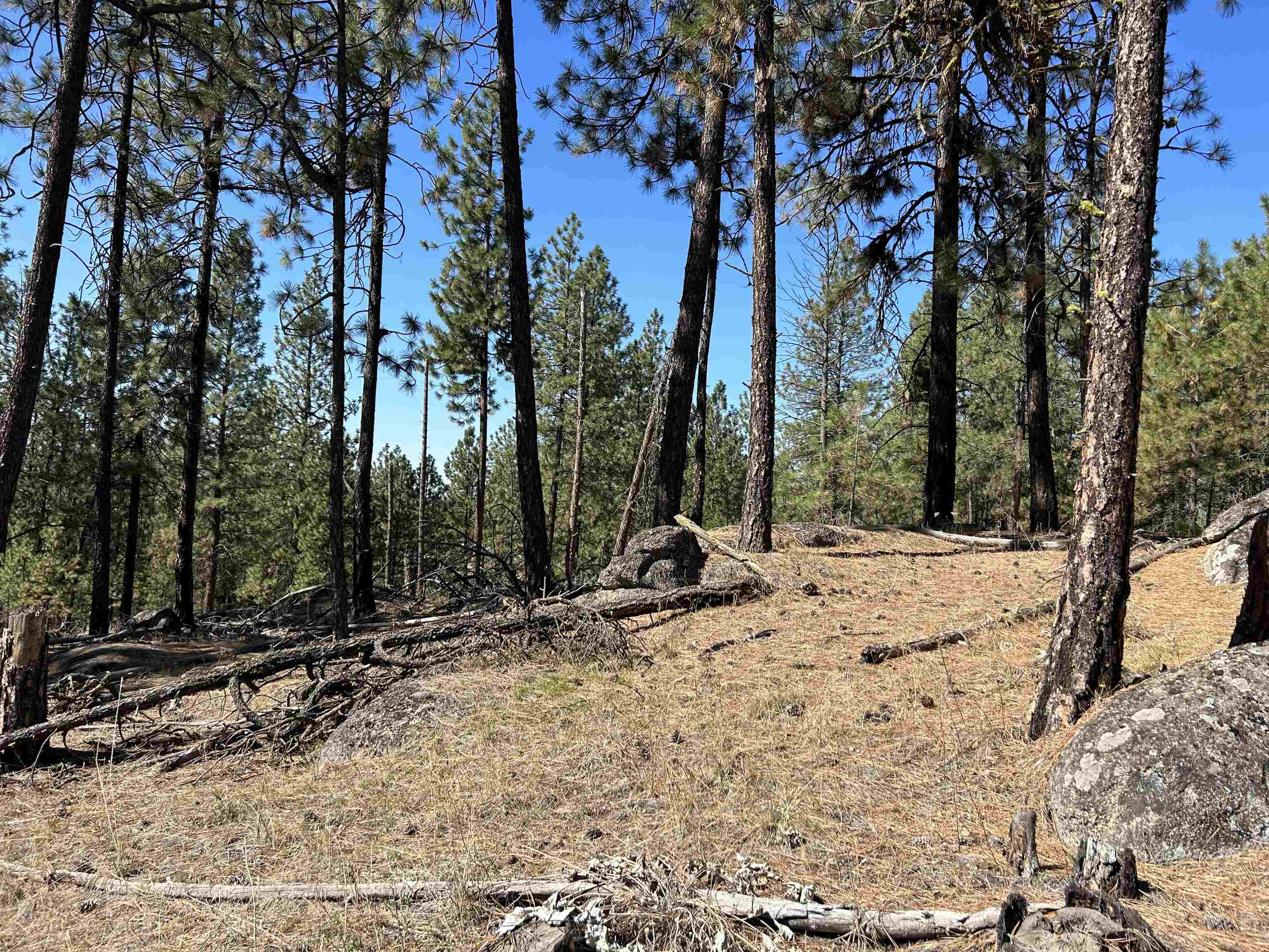 NNA Corkscrew Canyon Rd - Photo 23