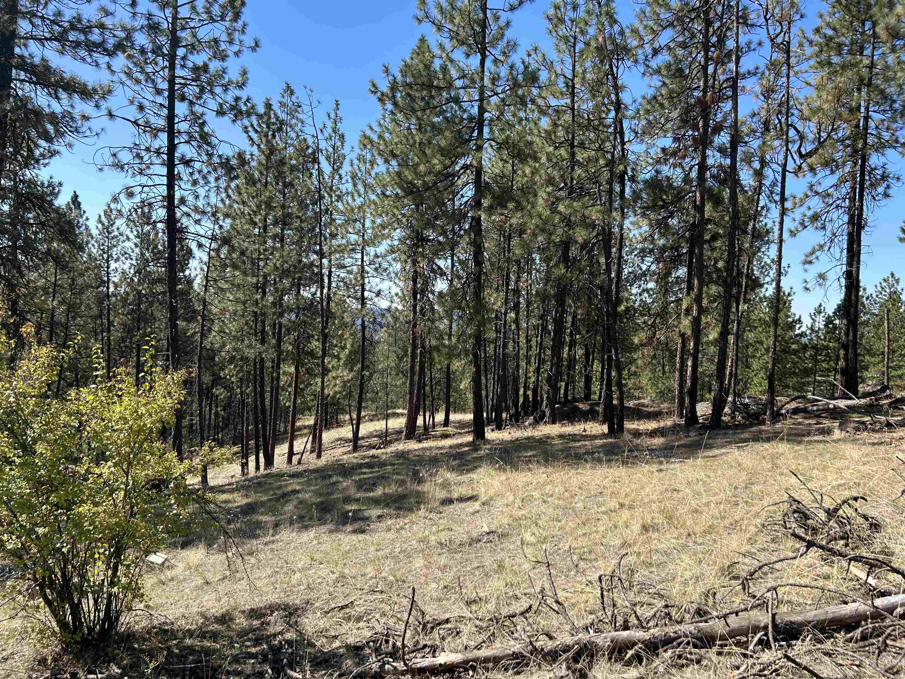 NNA Corkscrew Canyon Rd - Photo 24