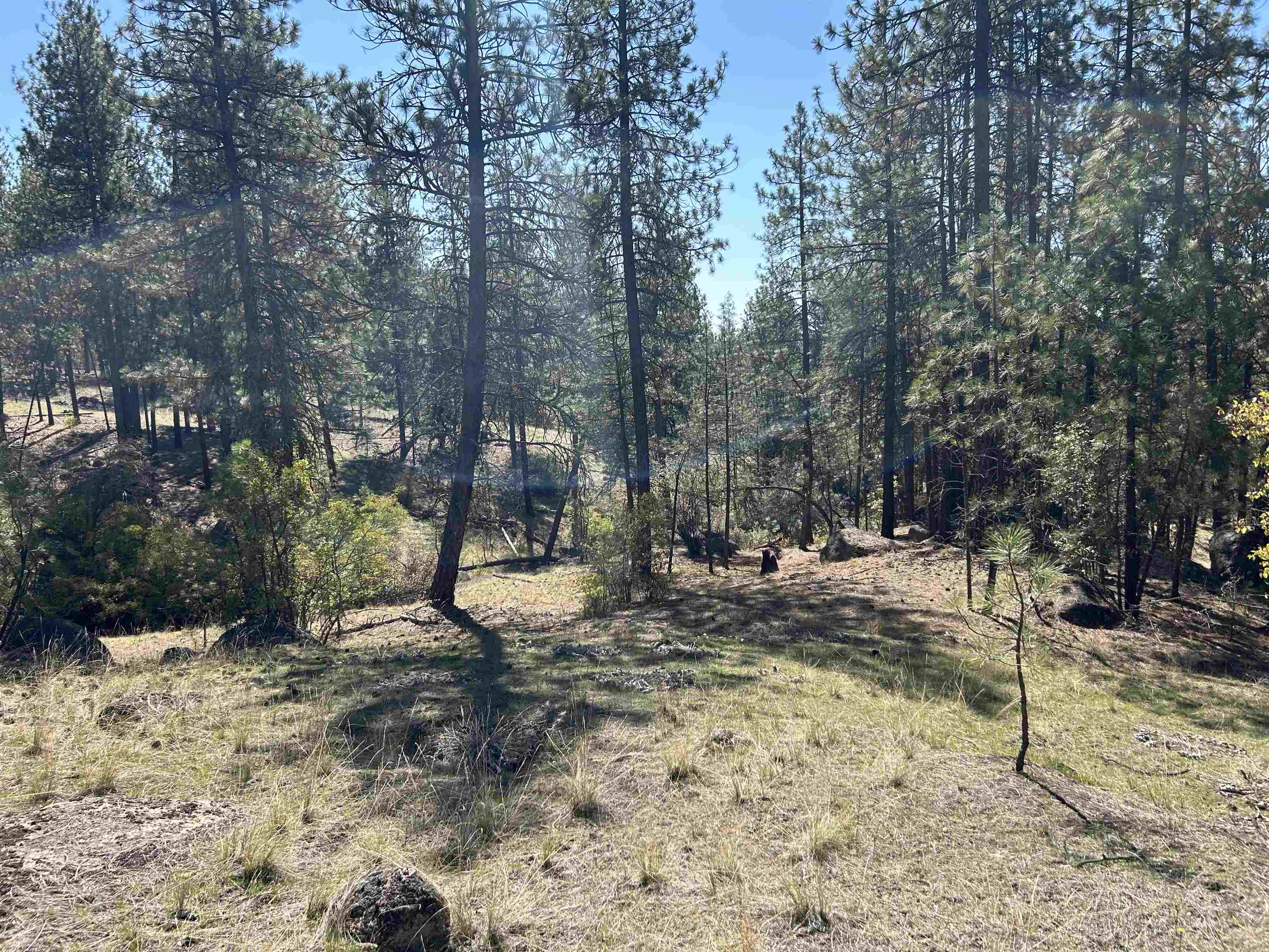 NNA Corkscrew Canyon Rd - Photo 25