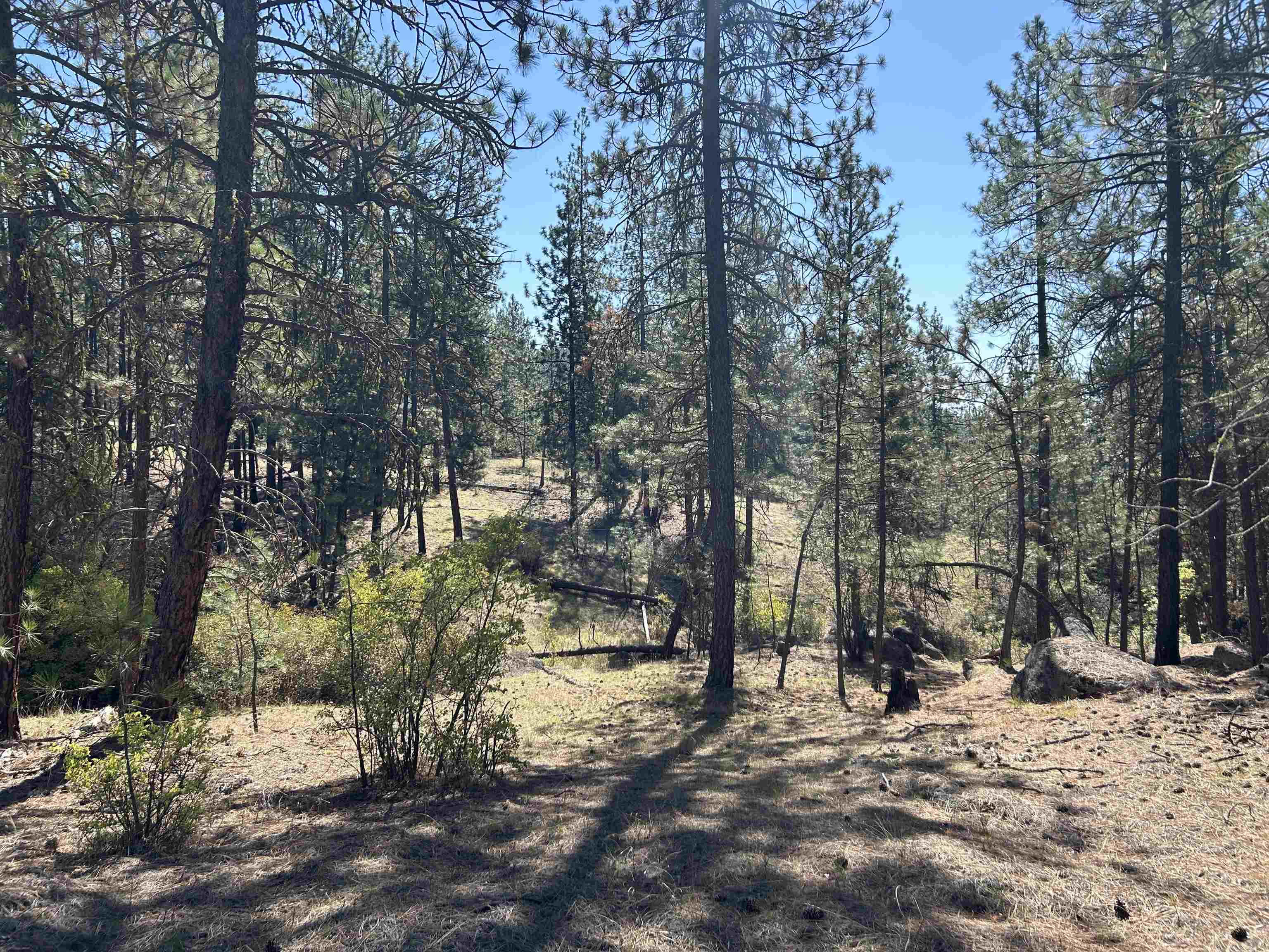 NNA Corkscrew Canyon Rd - Photo 26