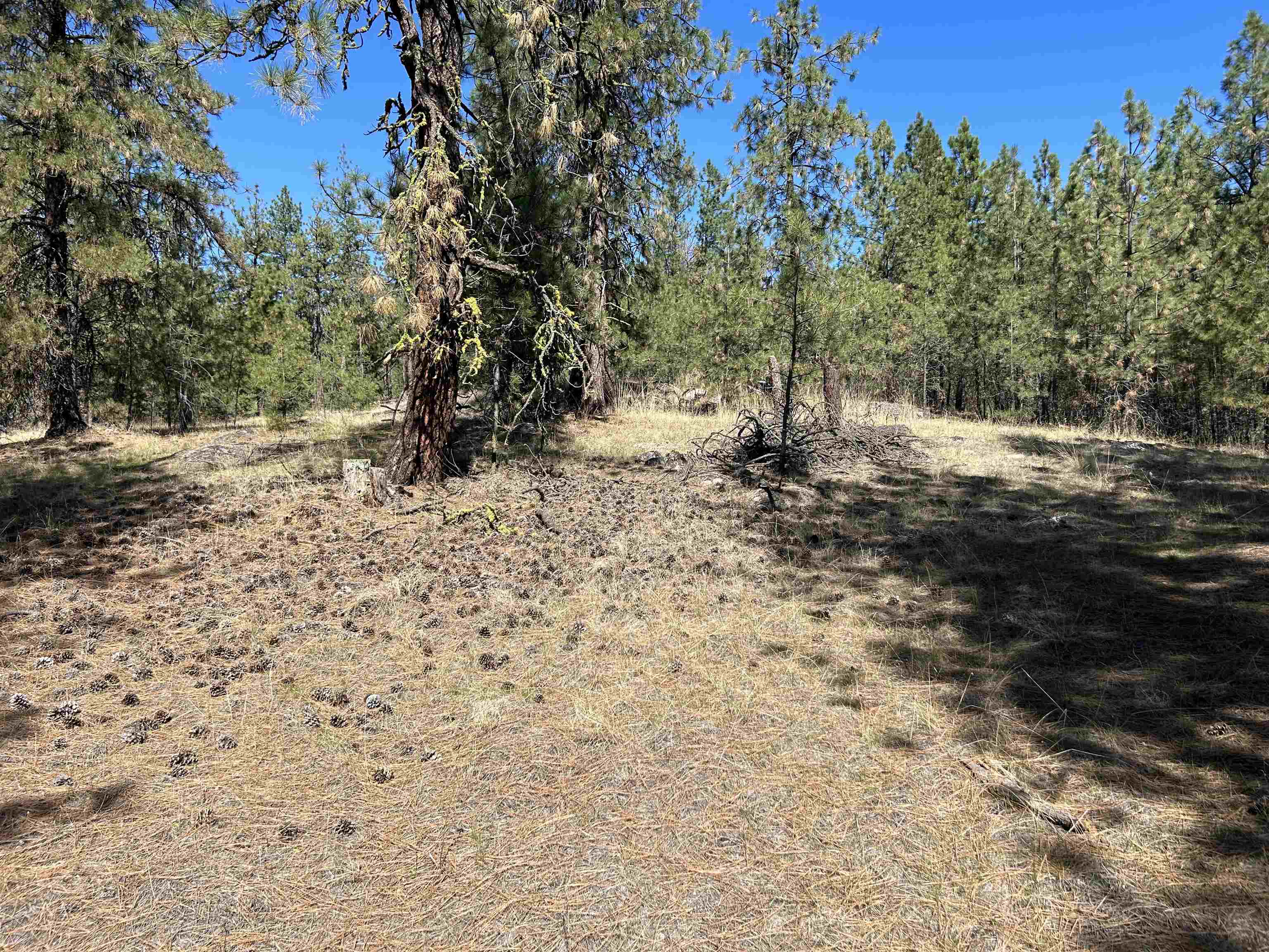 NNA Corkscrew Canyon Rd - Photo 27
