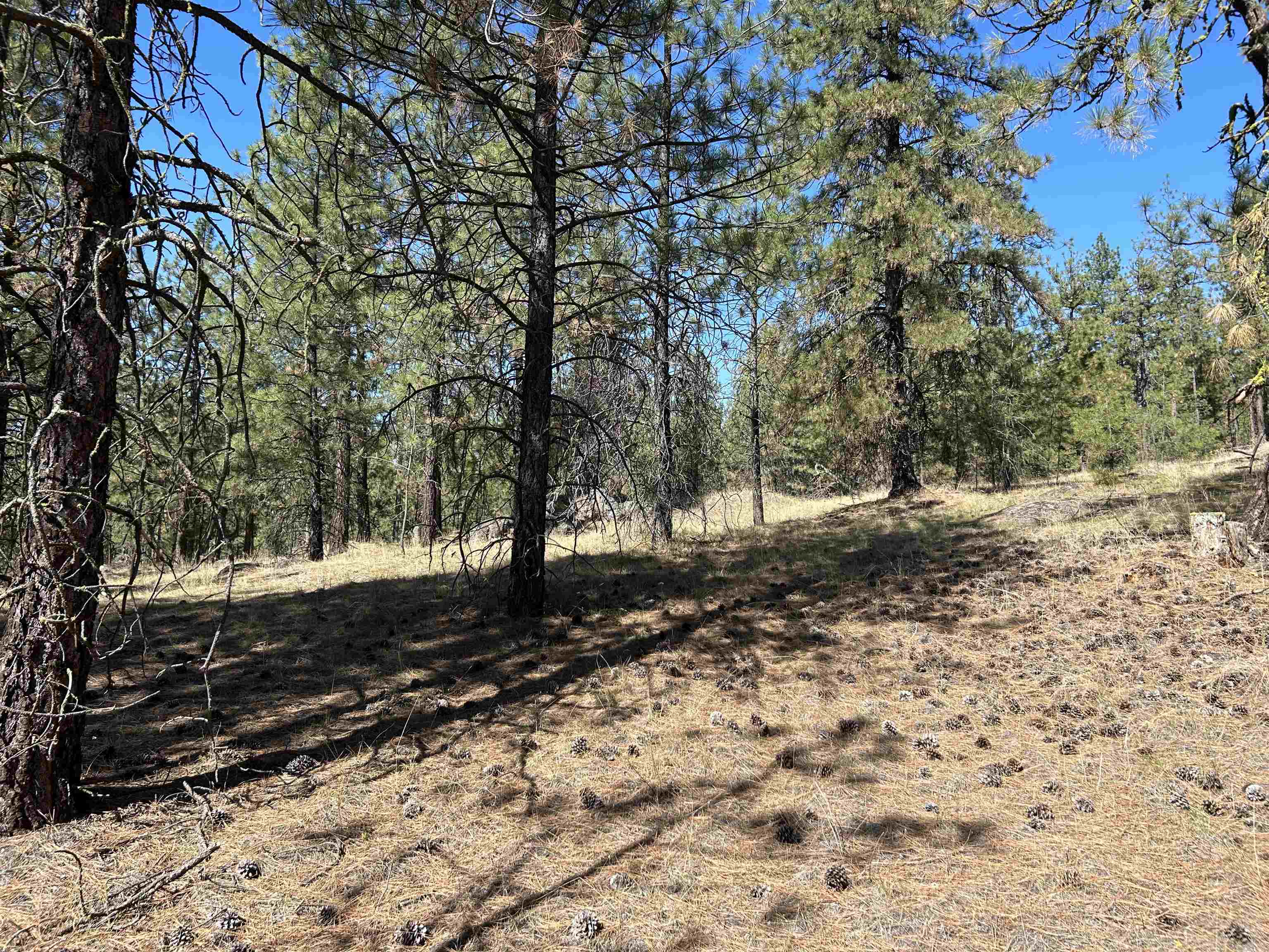 NNA Corkscrew Canyon Rd - Photo 28