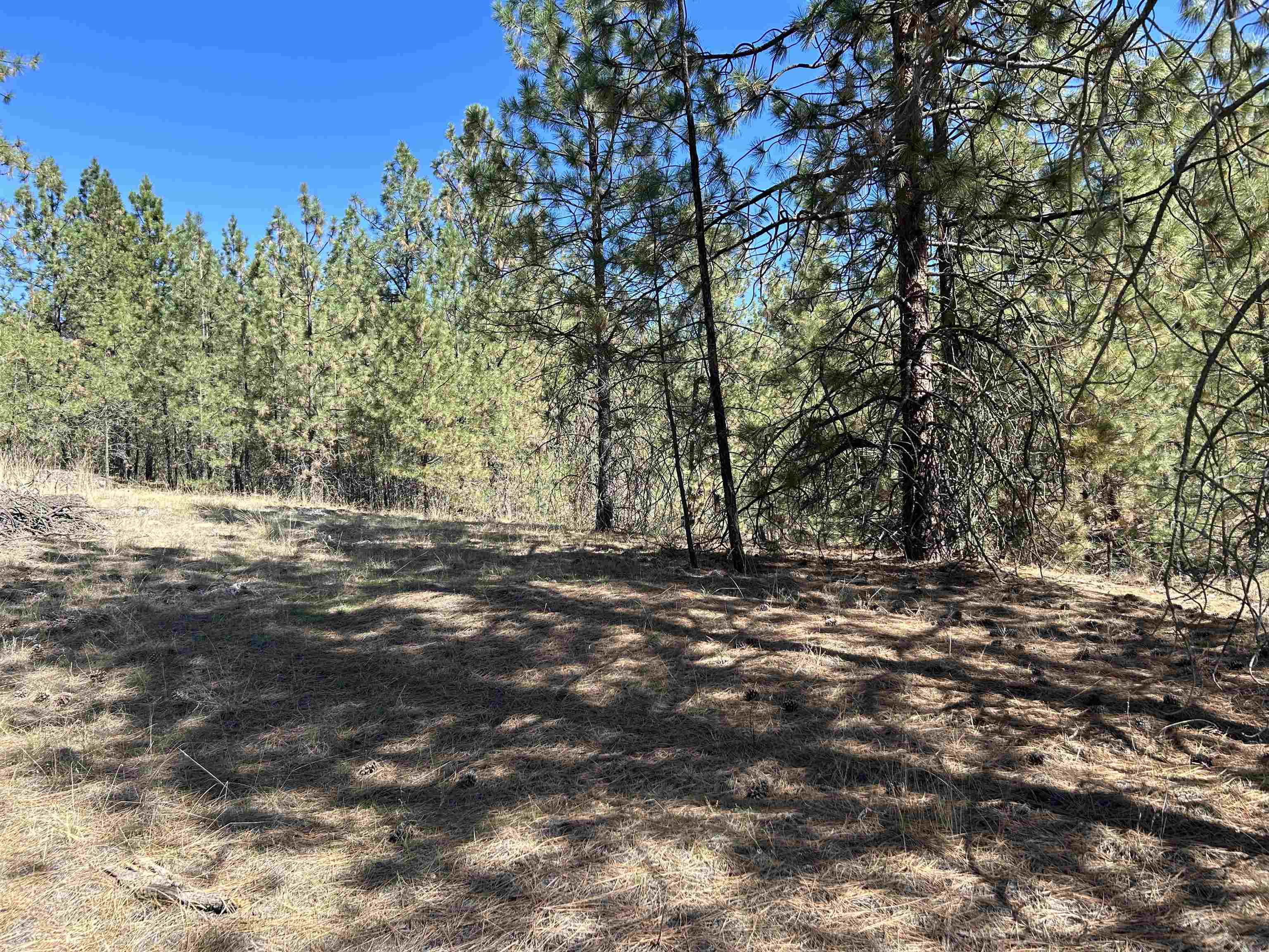 NNA Corkscrew Canyon Rd - Photo 29