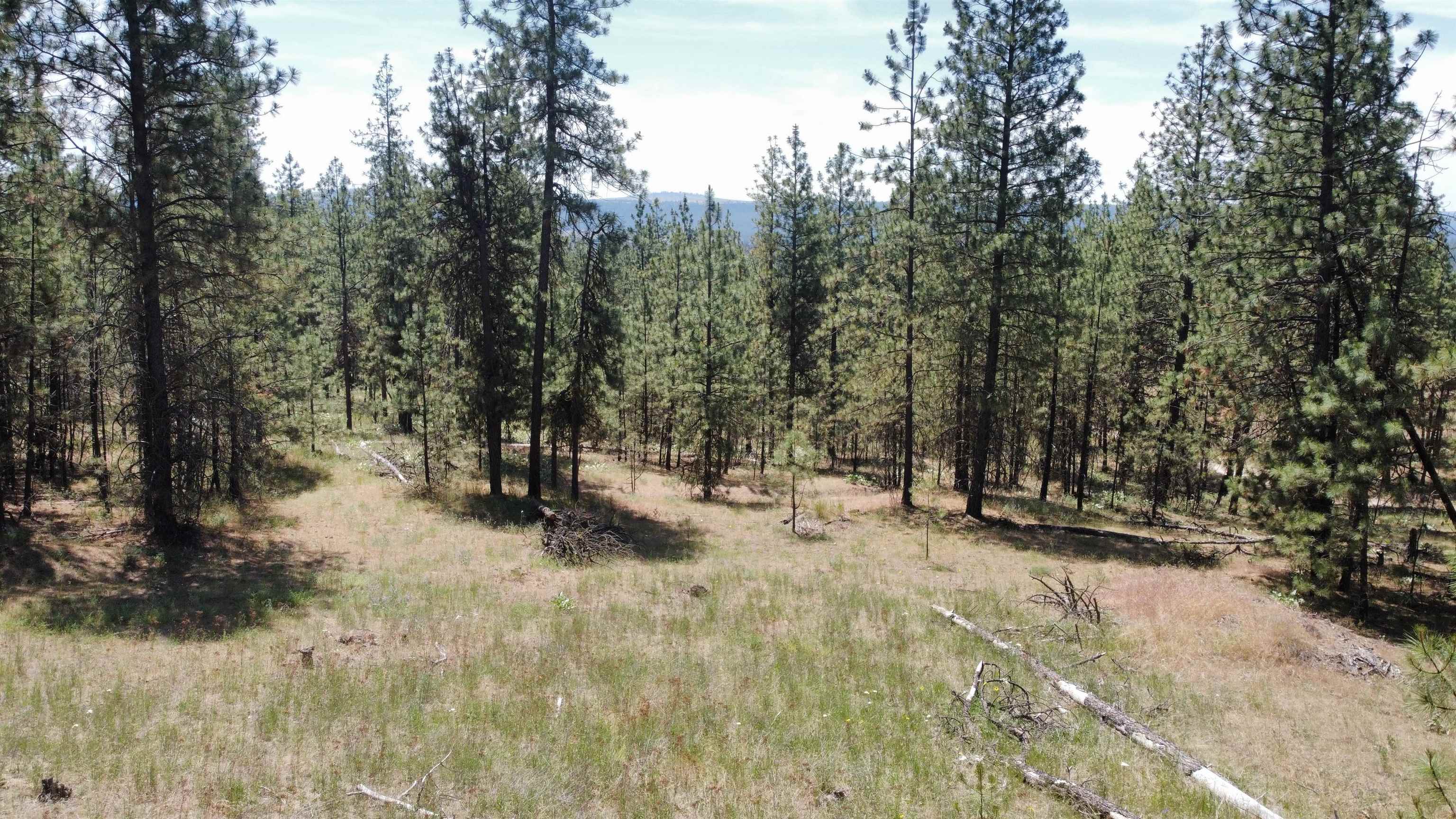 NNA Corkscrew Canyon Rd - Photo 30