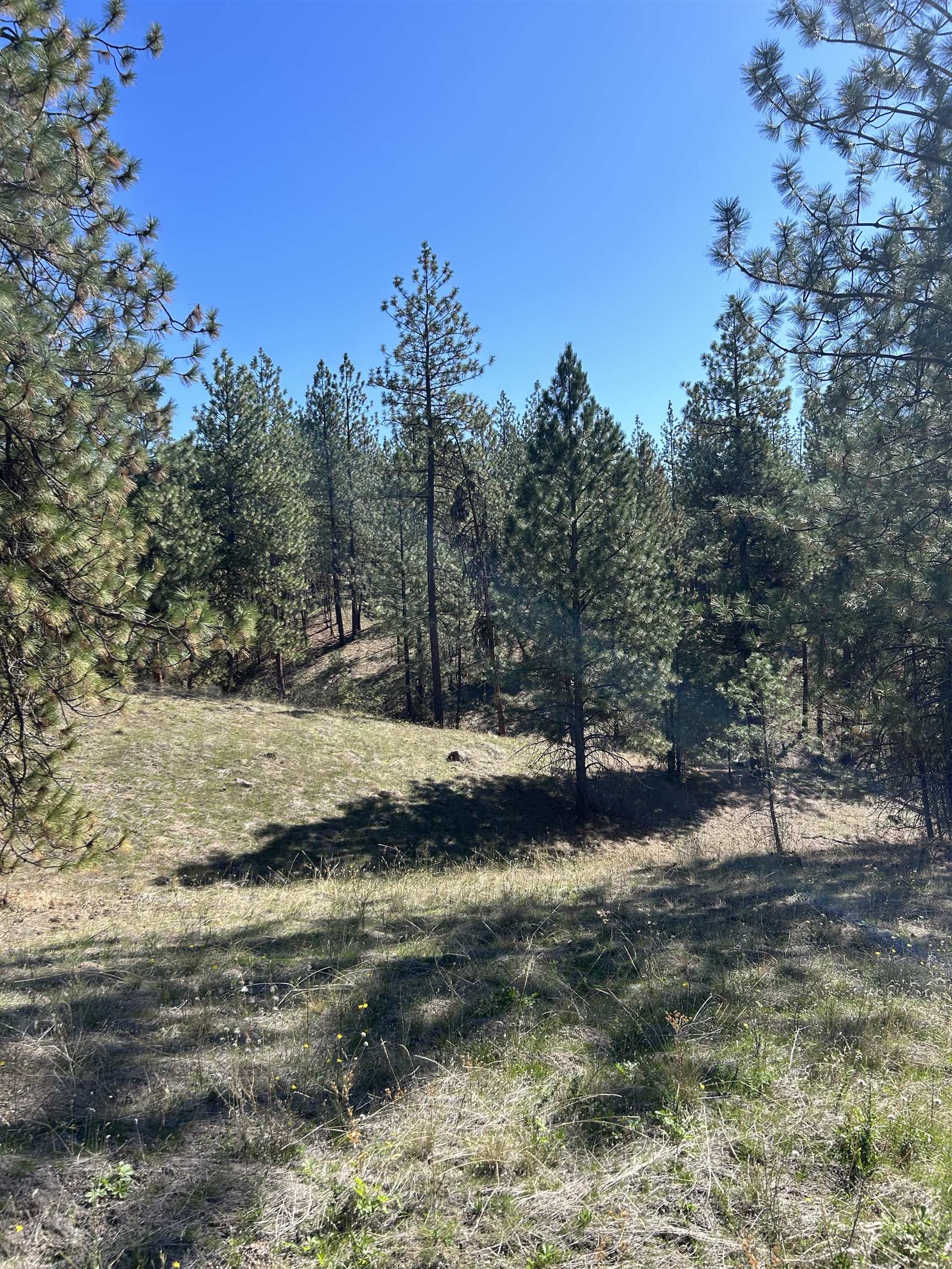 NNA Corkscrew Canyon Rd - Photo 4