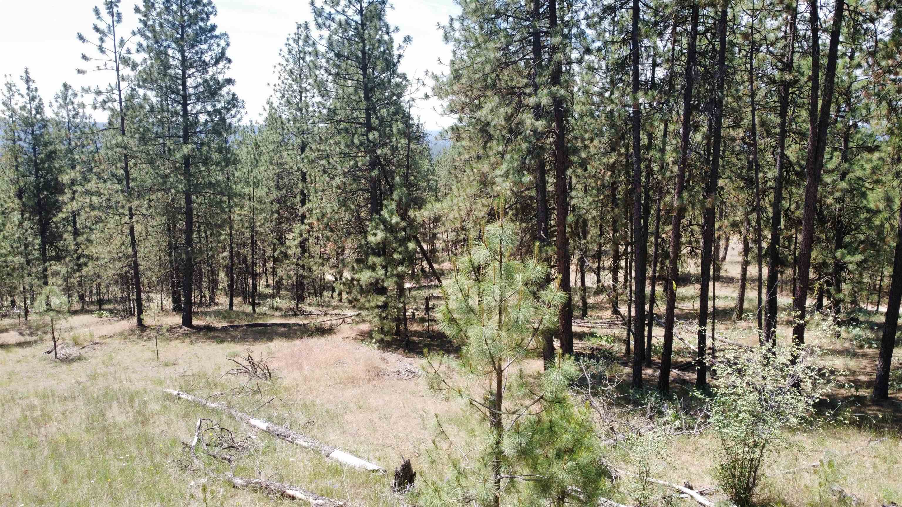 NNA Corkscrew Canyon Rd - Photo 31