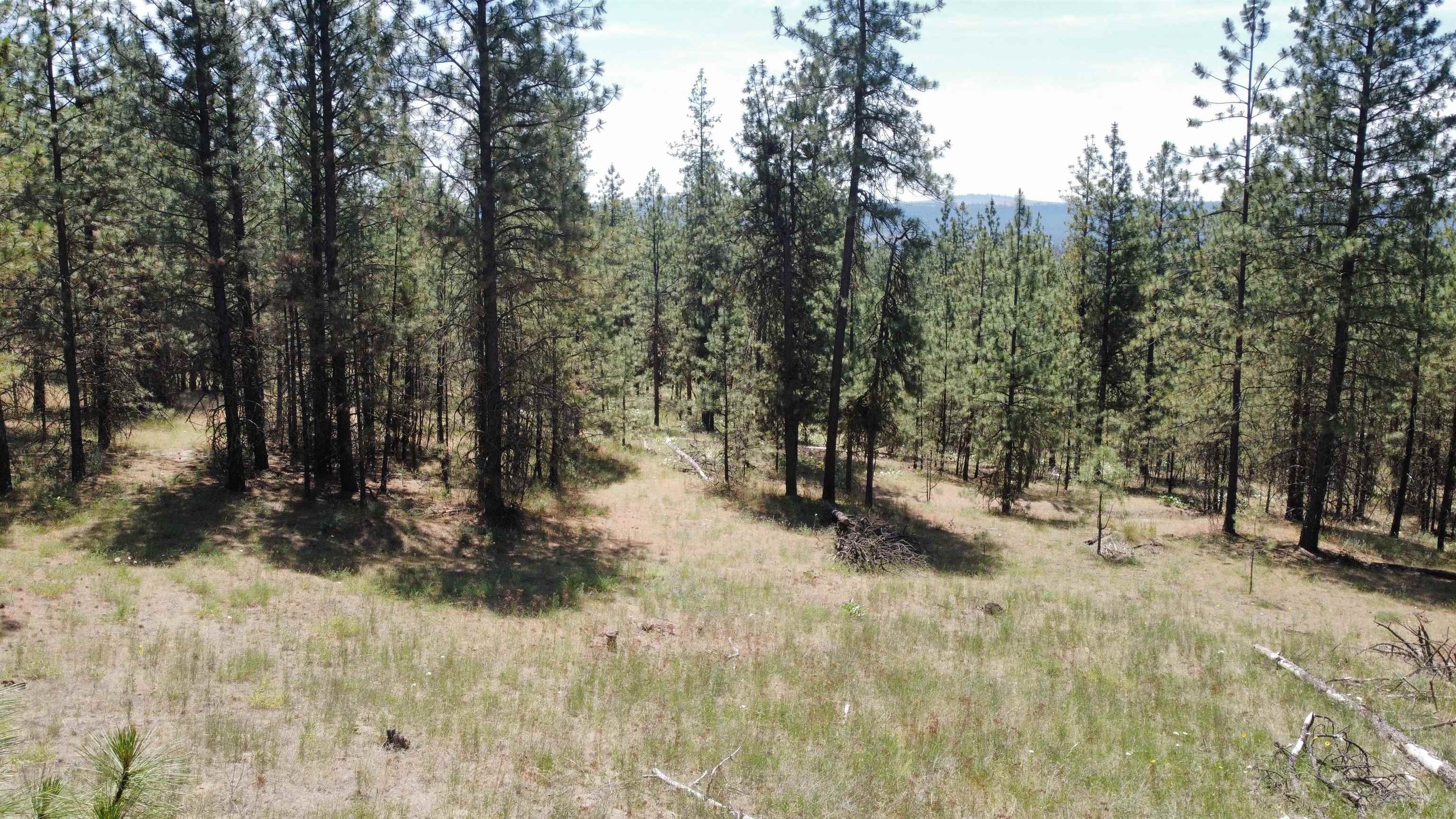 NNA Corkscrew Canyon Rd - Photo 32