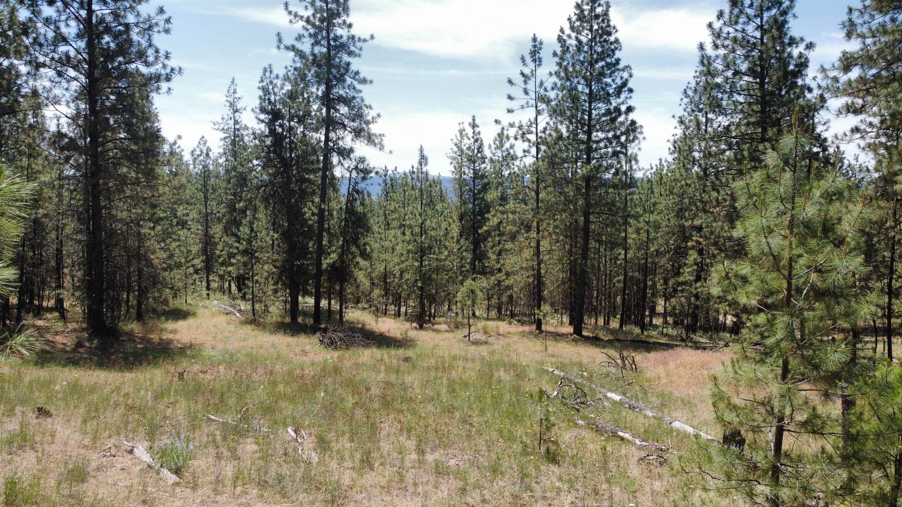 NNA Corkscrew Canyon Rd - Photo 33