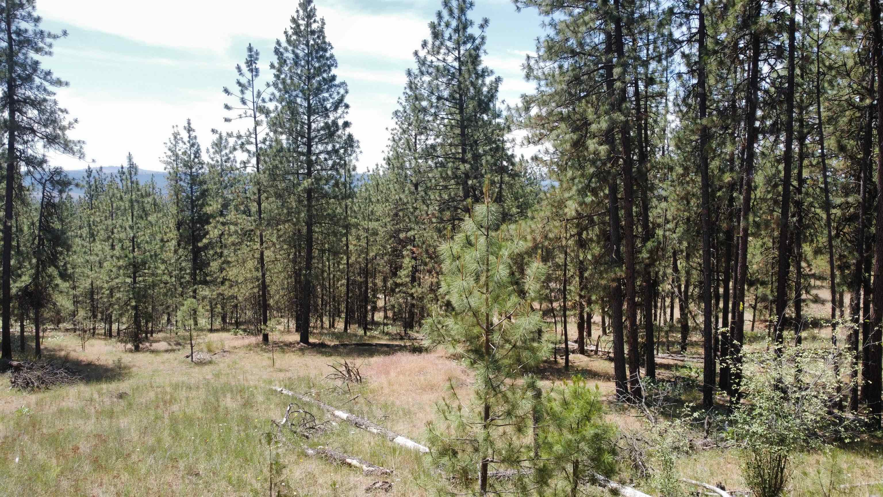 NNA Corkscrew Canyon Rd - Photo 34