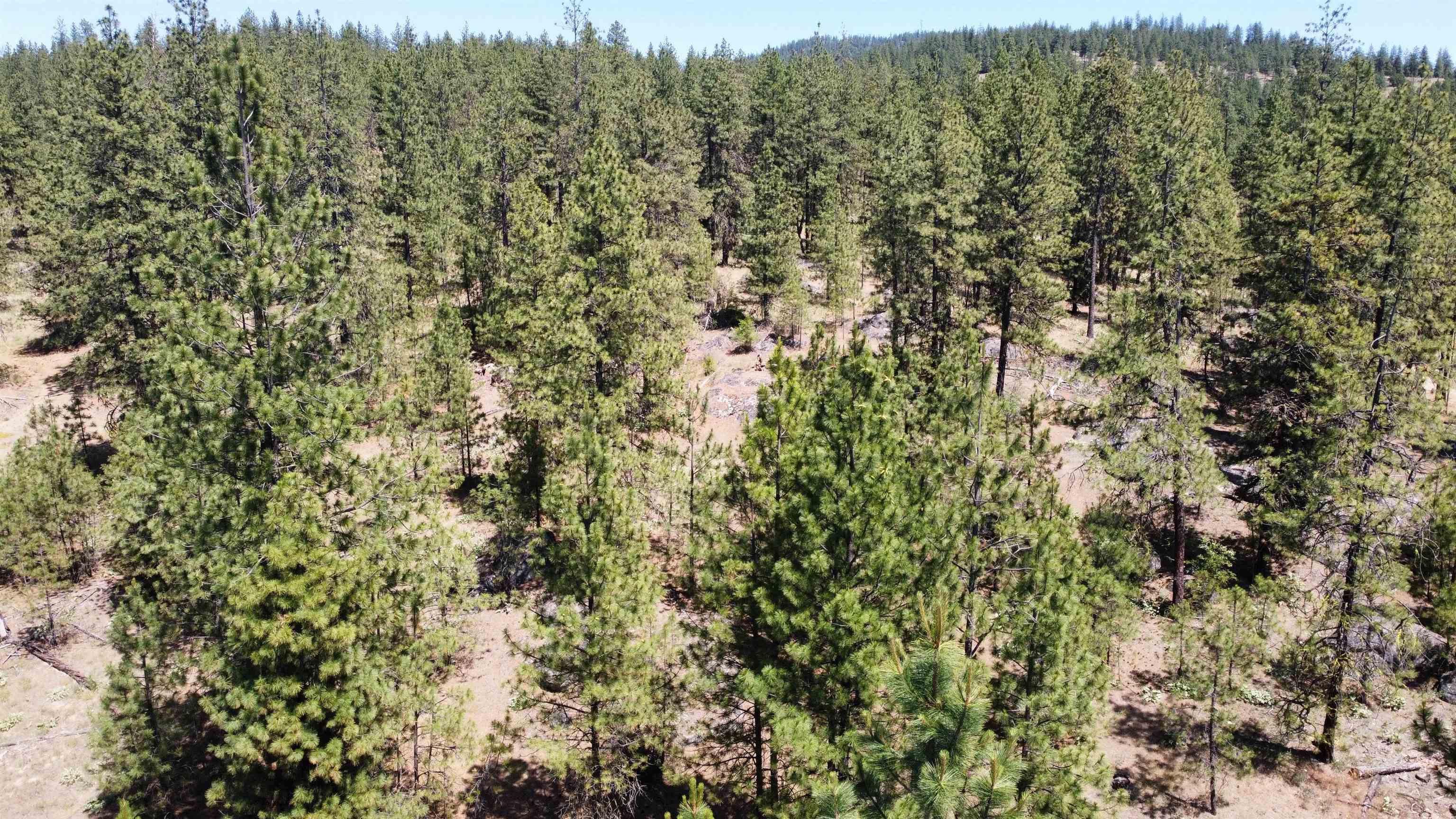 NNA Corkscrew Canyon Rd - Photo 35