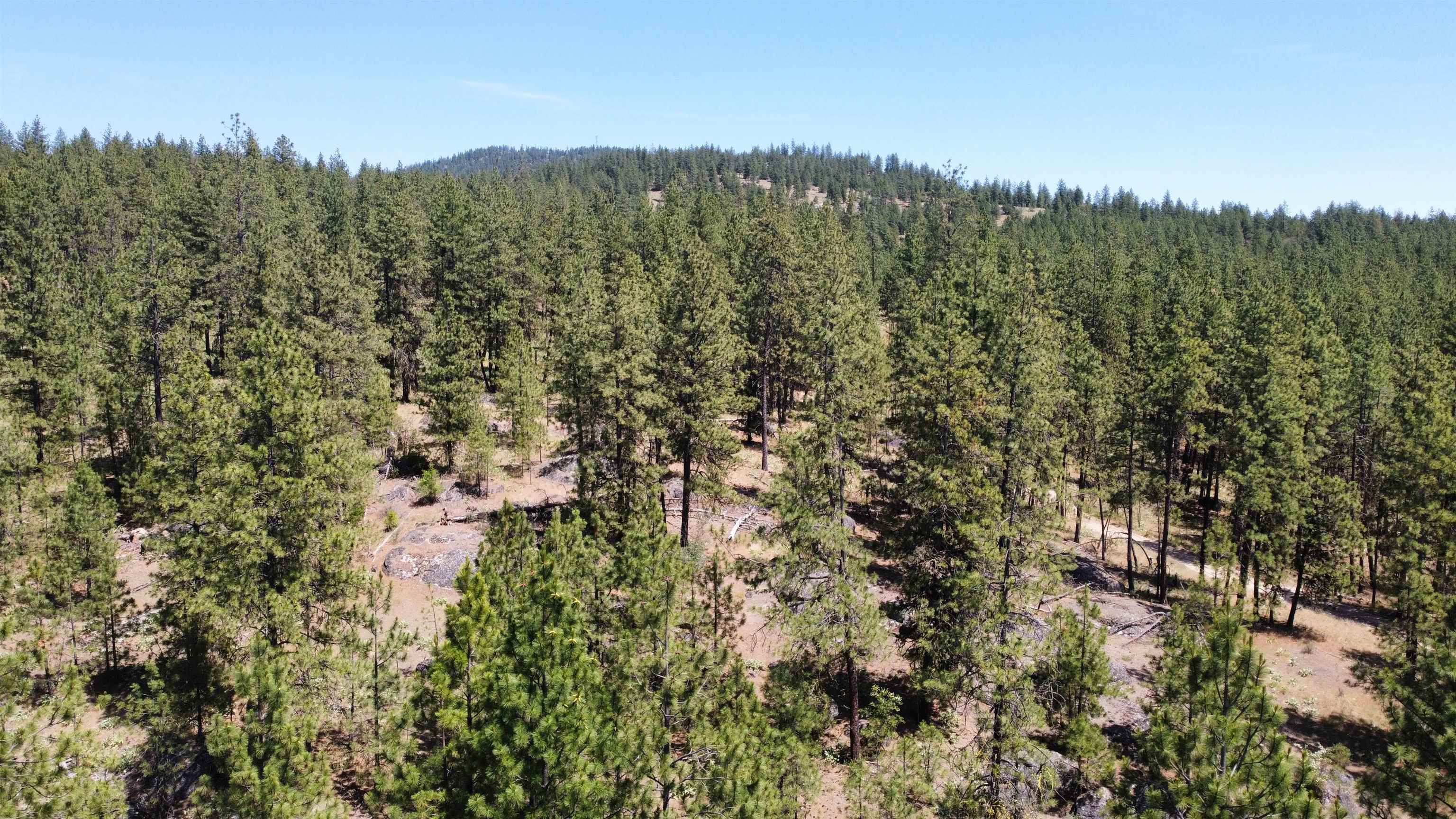NNA Corkscrew Canyon Rd - Photo 36