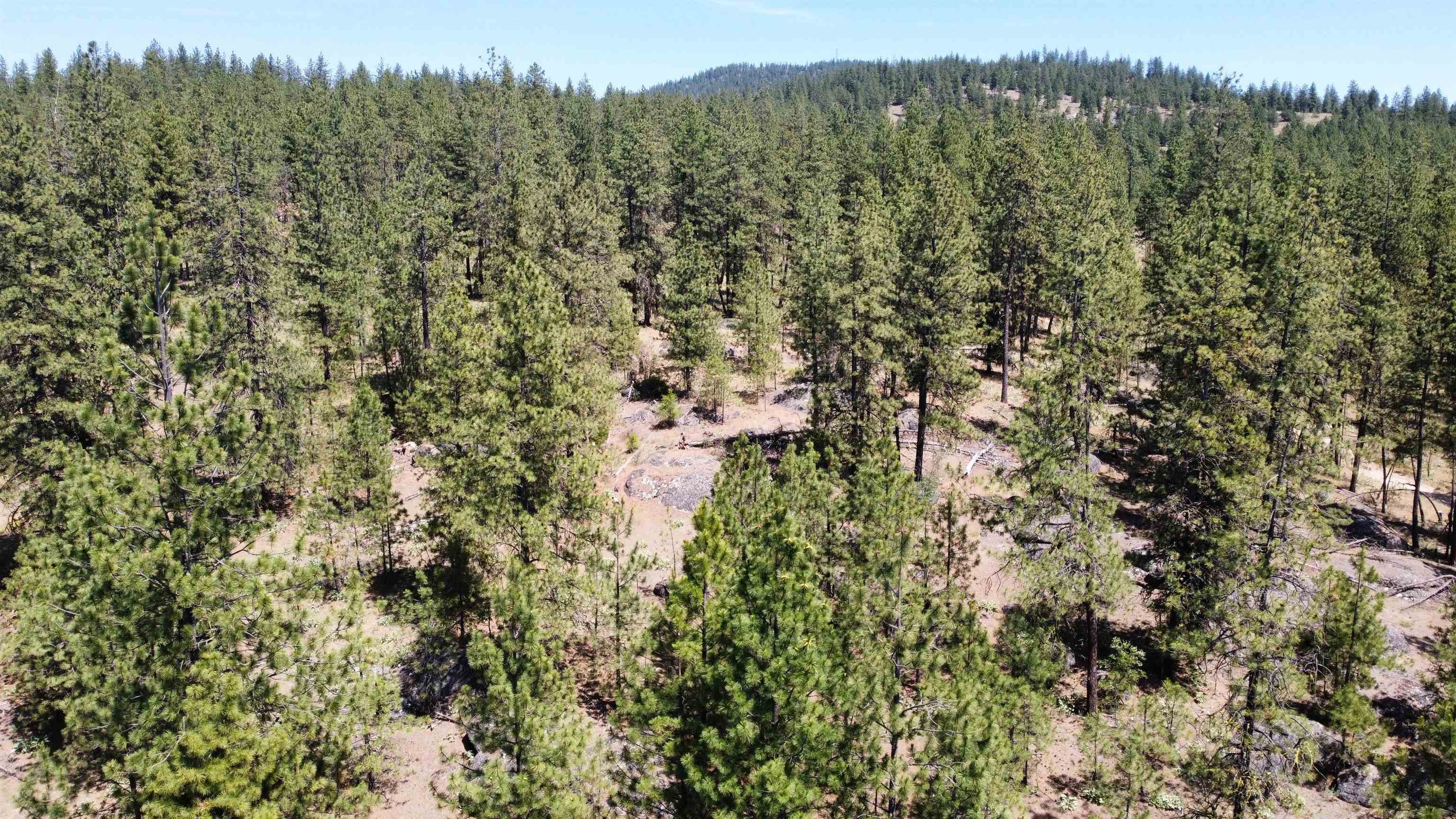 NNA Corkscrew Canyon Rd - Photo 37