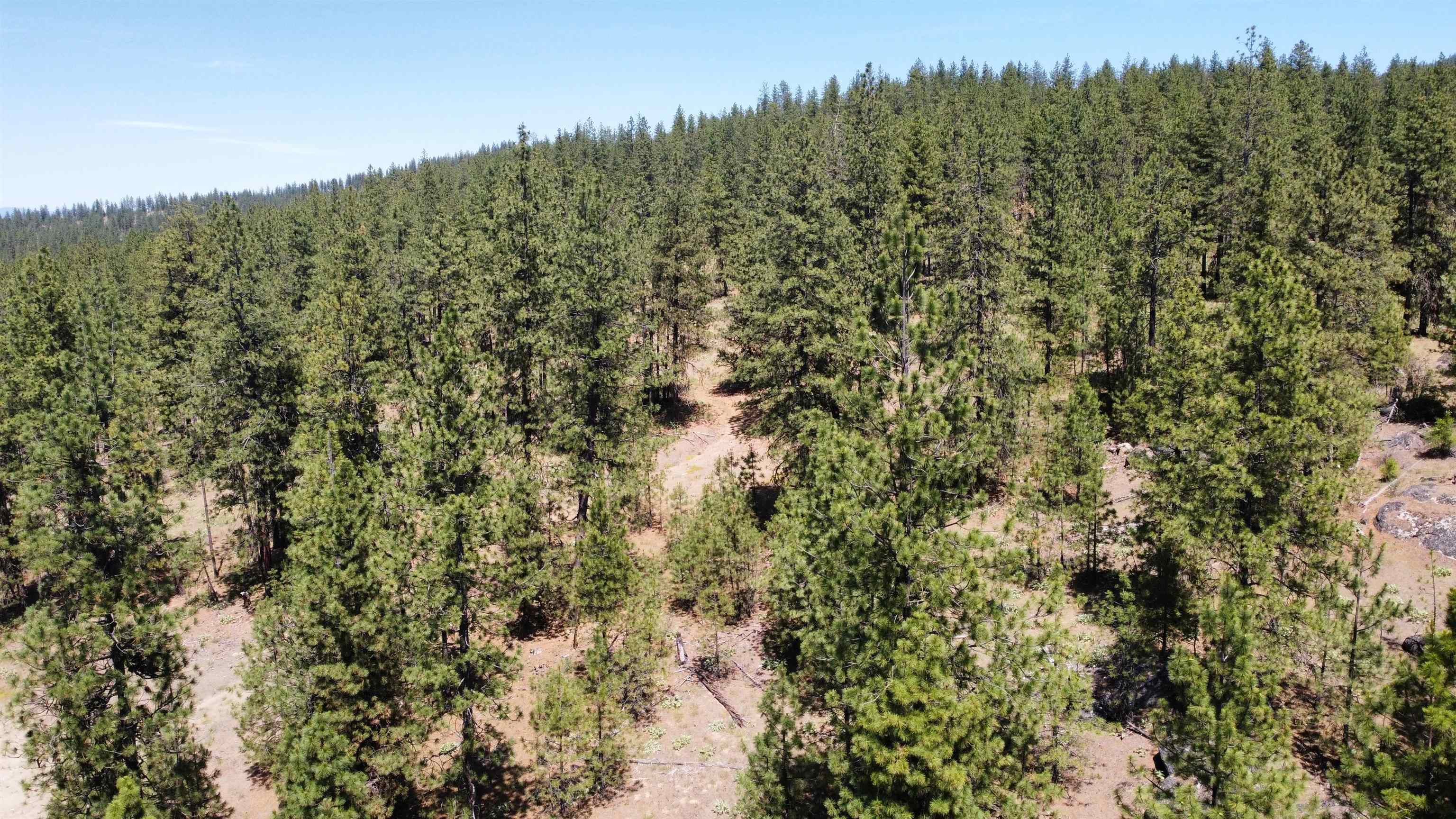 NNA Corkscrew Canyon Rd - Photo 38