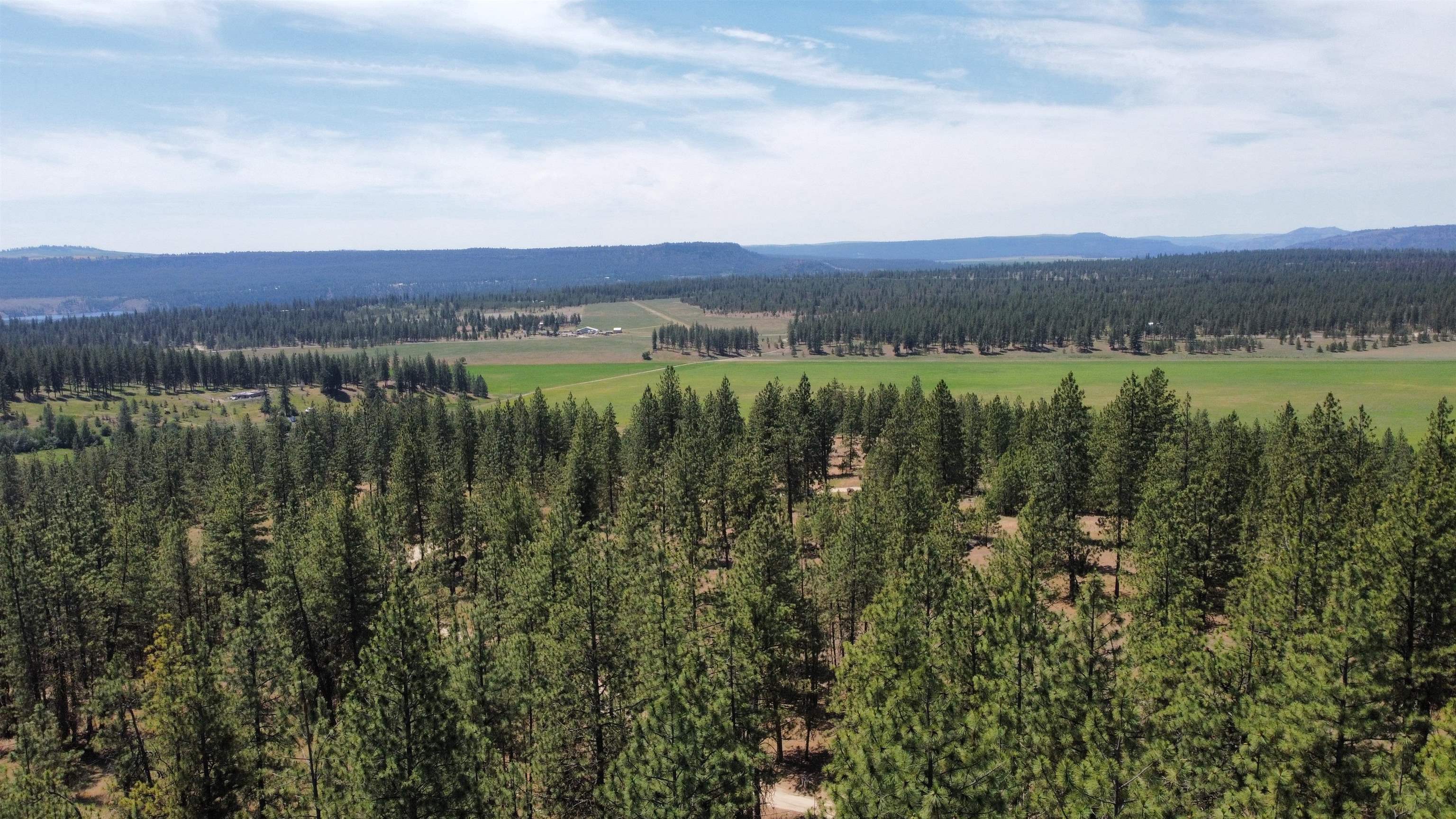 NNA Corkscrew Canyon Rd - Photo 39