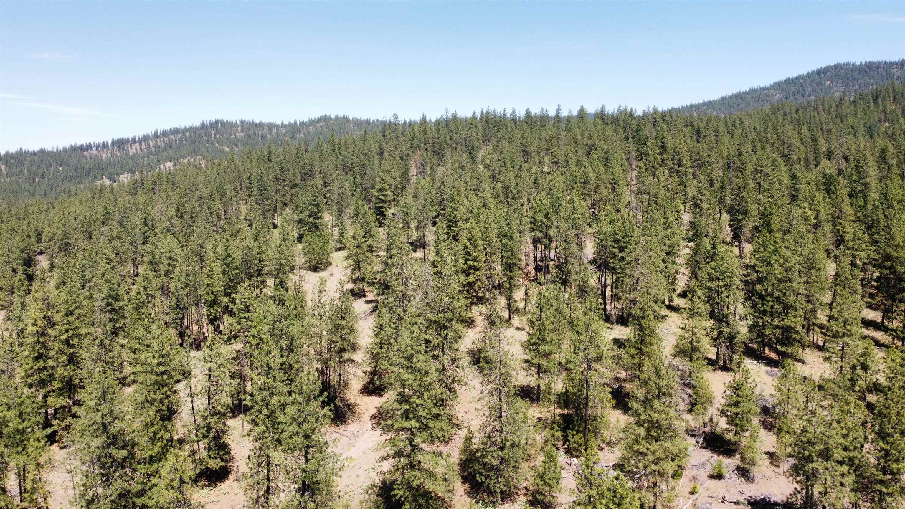NNA Corkscrew Canyon Rd - Photo 40