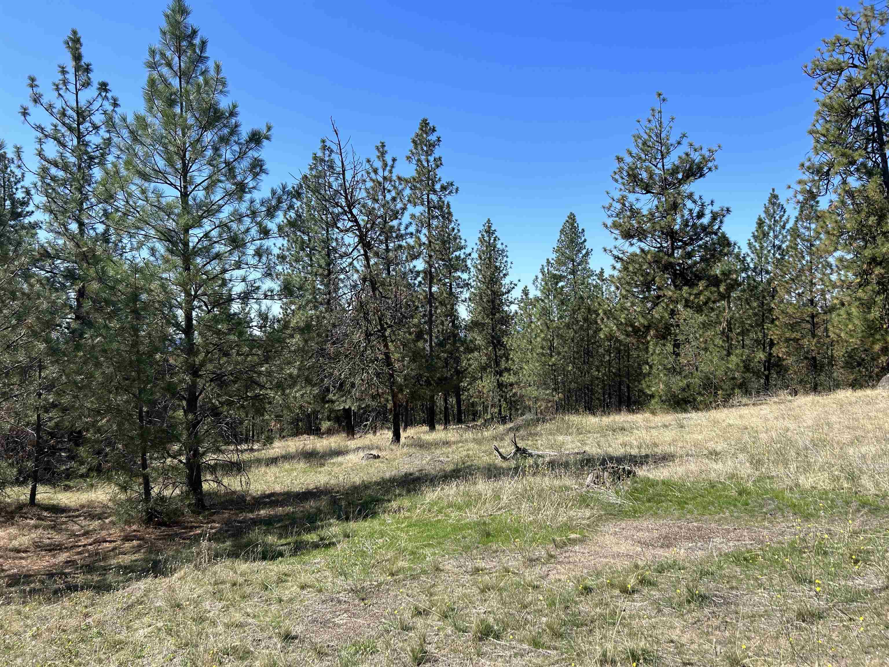 NNA Corkscrew Canyon Rd - Photo 6