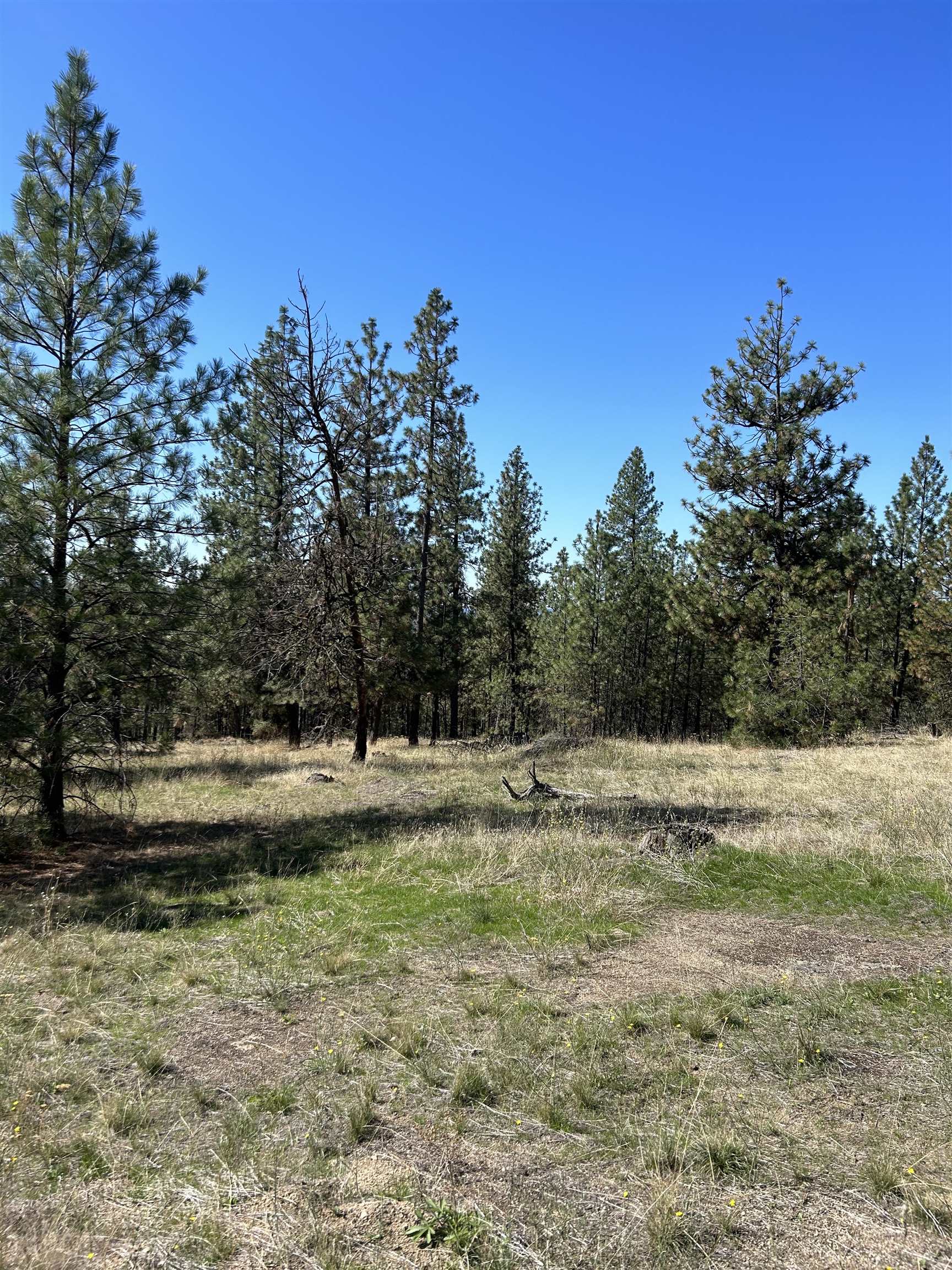 NNA Corkscrew Canyon Rd - Photo 7