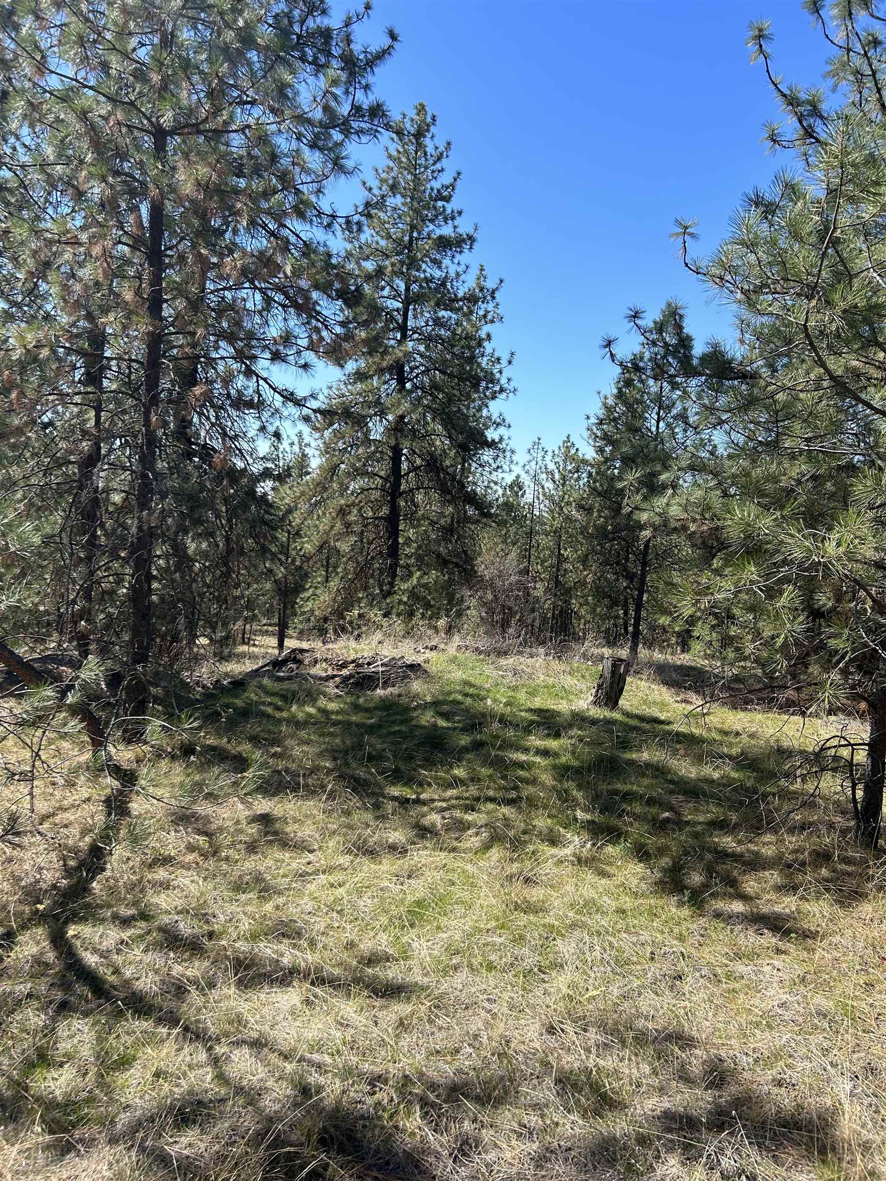 NNA Corkscrew Canyon Rd - Photo 8
