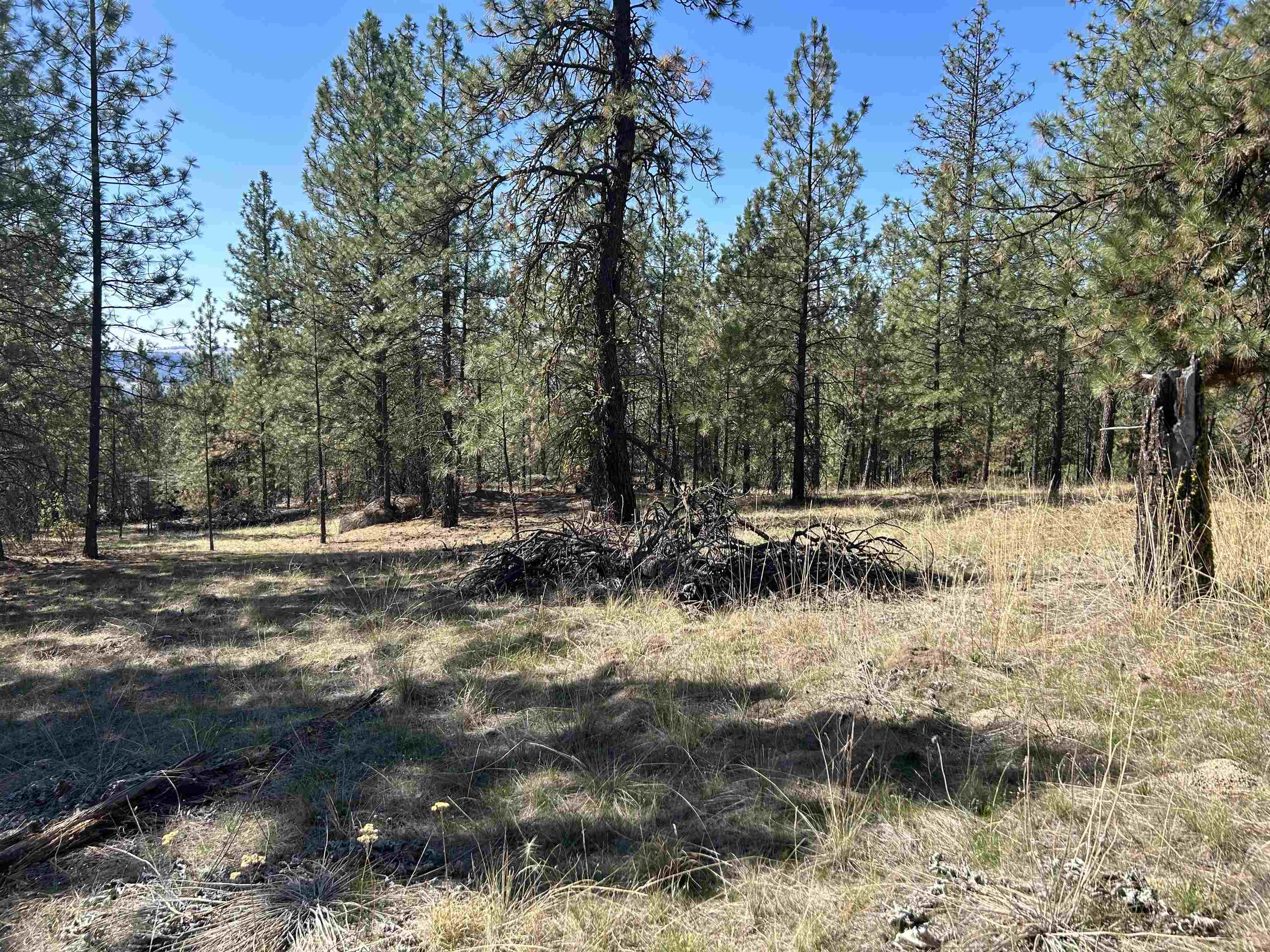 NNA Corkscrew Canyon Rd - Photo 9