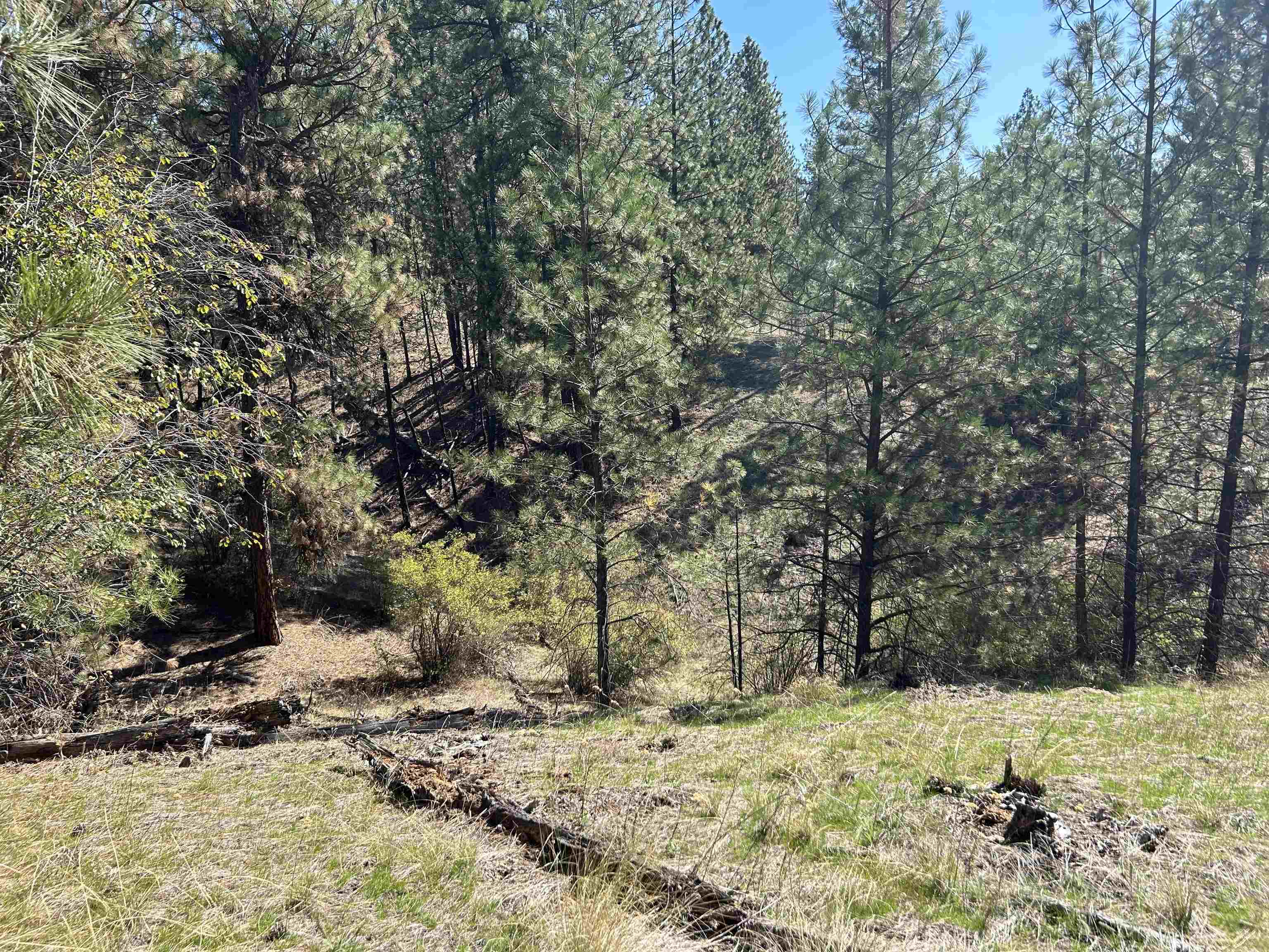 NNA Corkscrew Canyon Rd - Photo 10