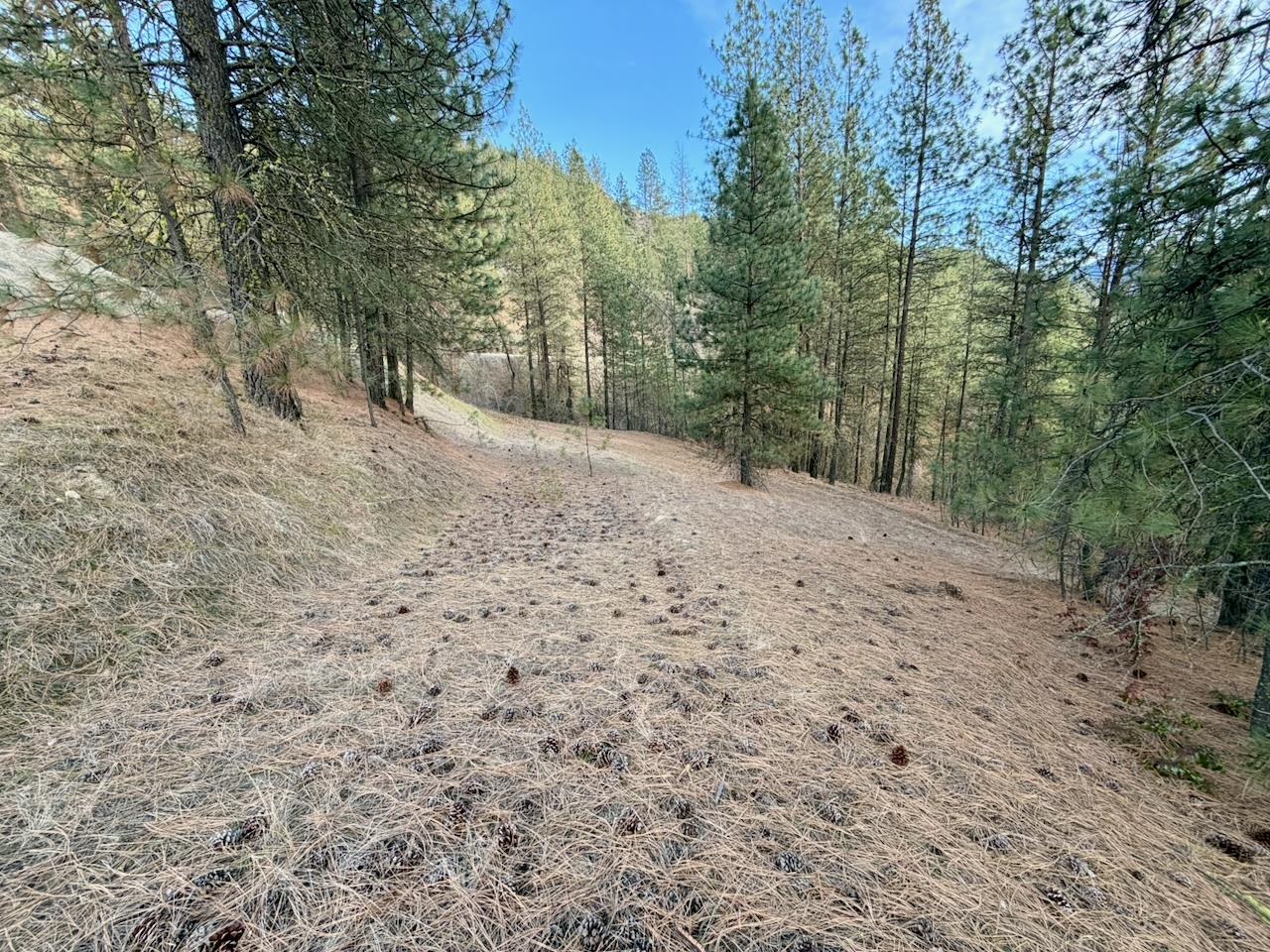 1199 Gold Edge Mine Rd - Photo 11
