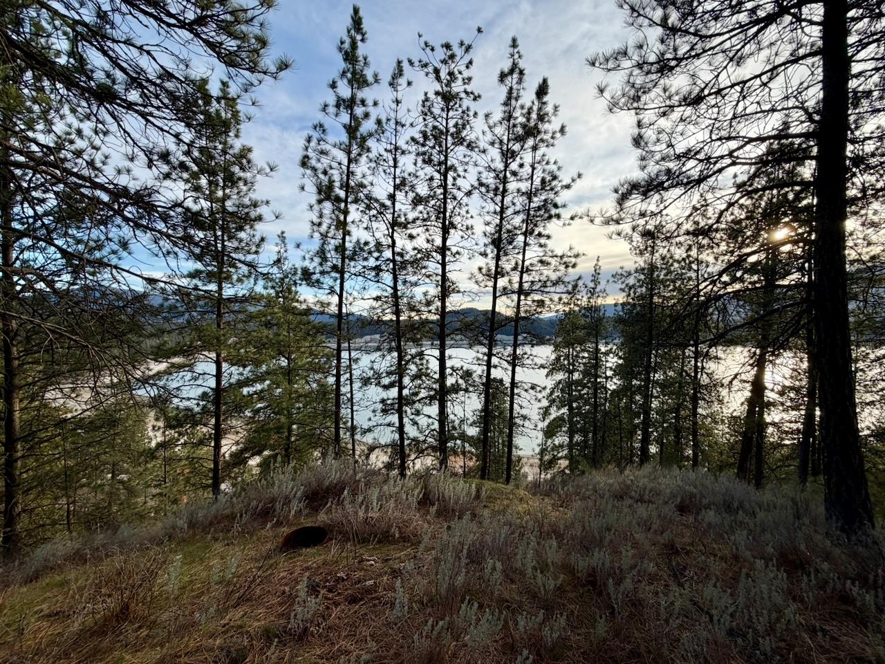 1199 Gold Edge Mine Rd - Photo 13