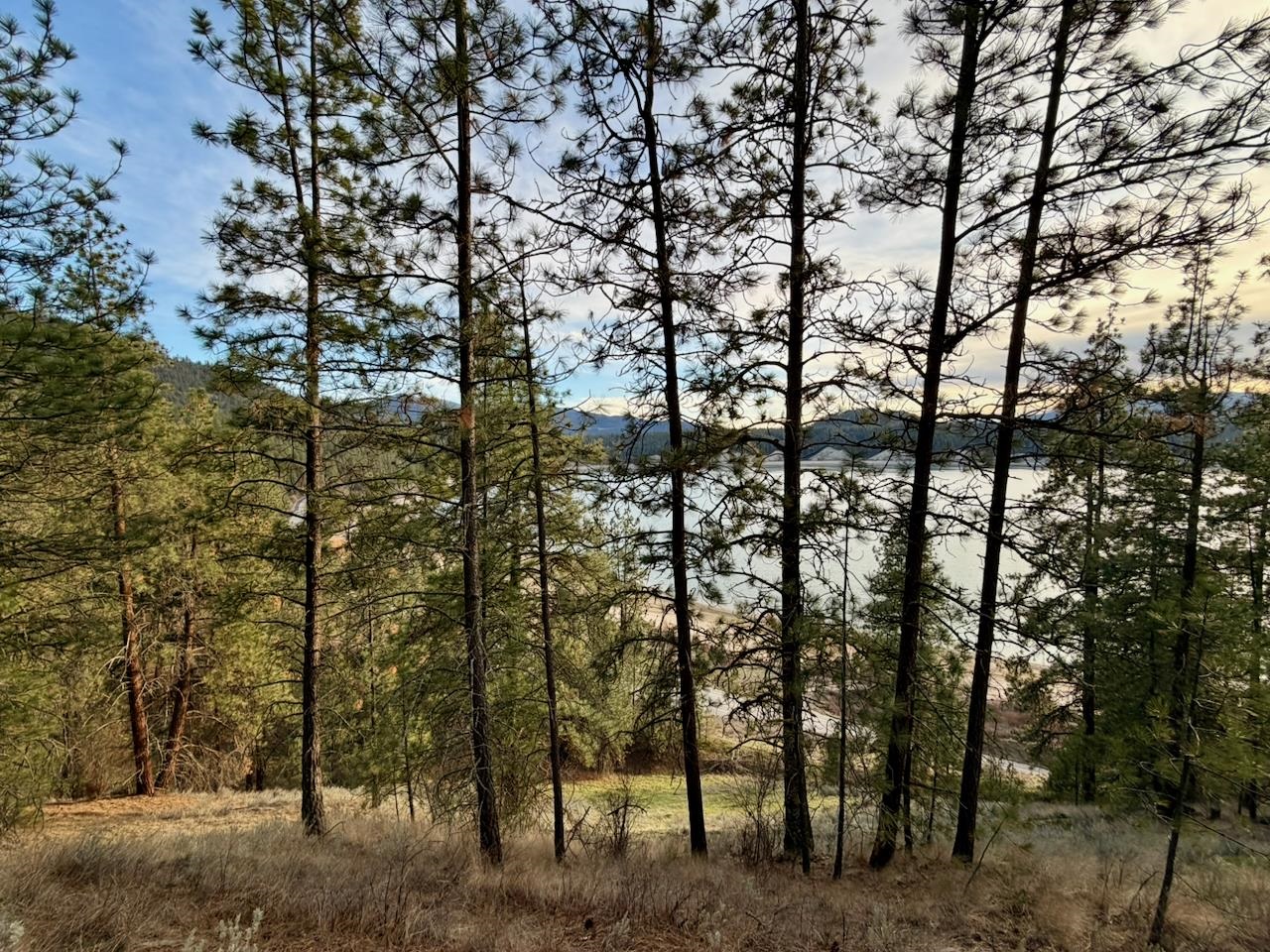 1199 Gold Edge Mine Rd - Photo 14