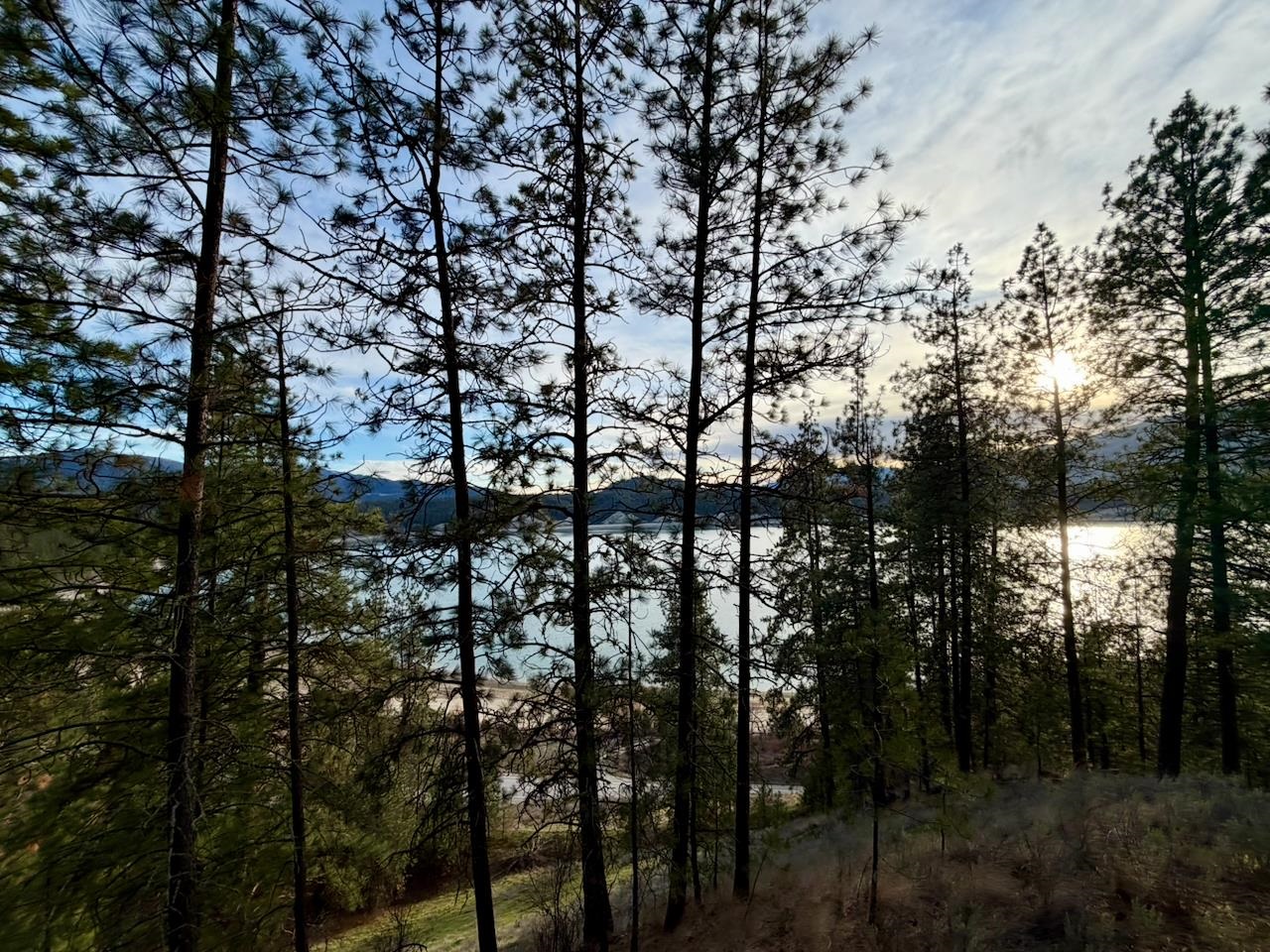 1199 Gold Edge Mine Rd - Photo 15