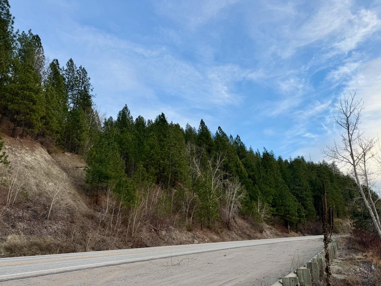 1199 Gold Edge Mine Rd - Photo 19