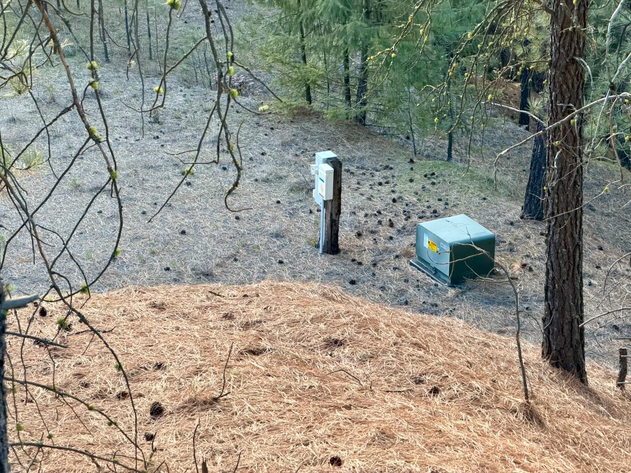 1199 Gold Edge Mine Rd - Photo 3