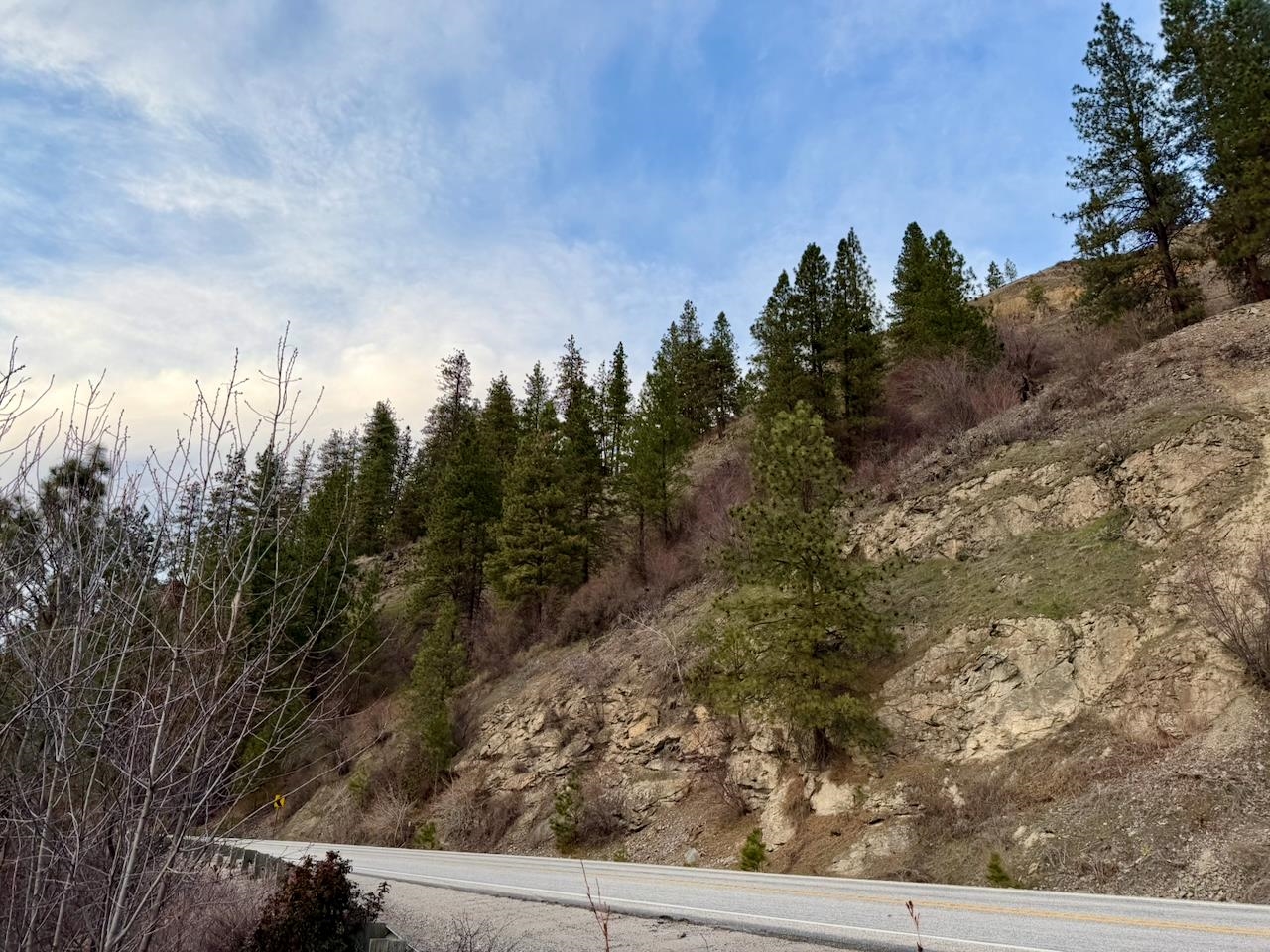 1199 Gold Edge Mine Rd - Photo 21