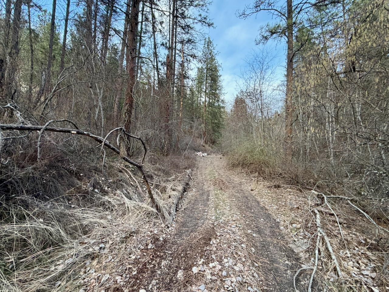 1199 Gold Edge Mine Rd - Photo 23