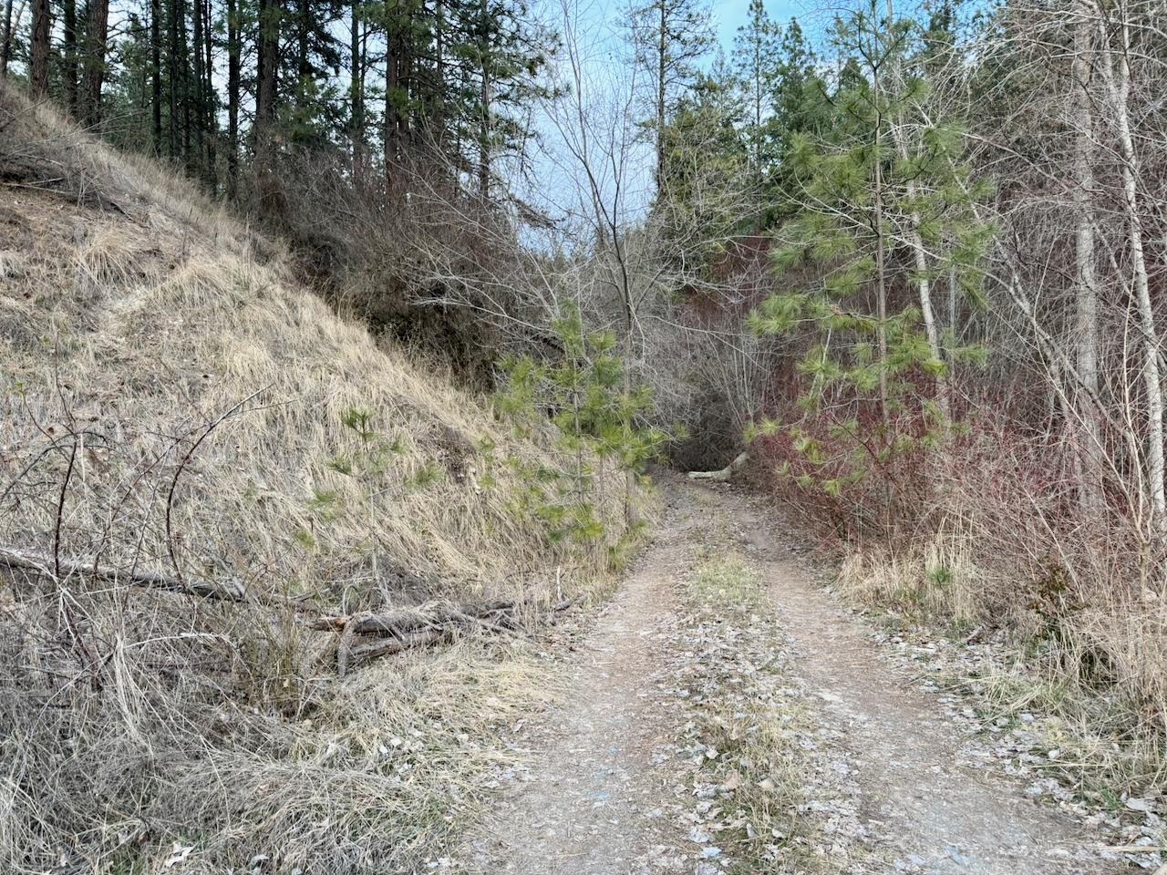1199 Gold Edge Mine Rd - Photo 24