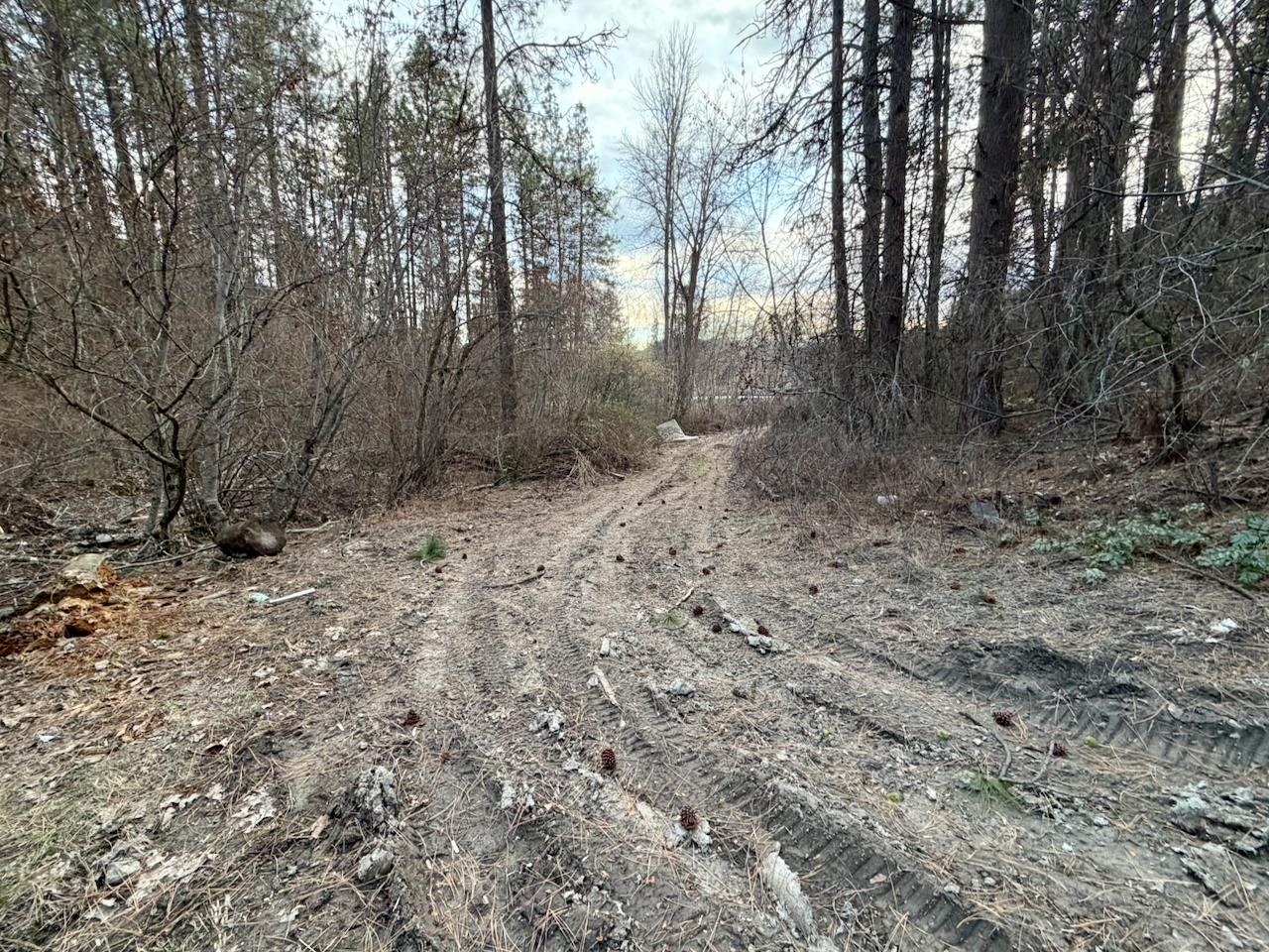 1199 Gold Edge Mine Rd - Photo 25