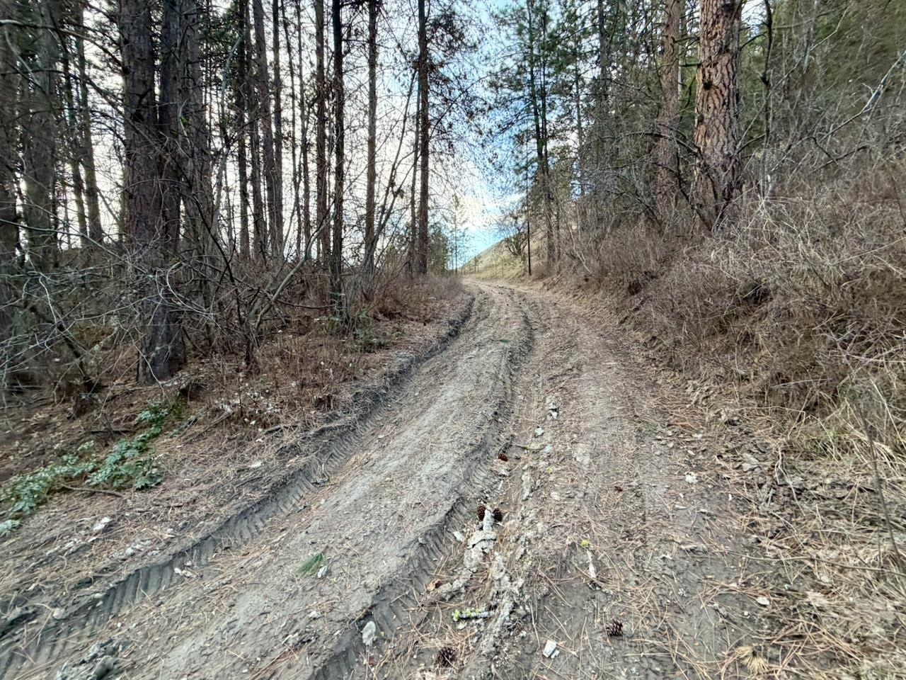1199 Gold Edge Mine Rd - Photo 26