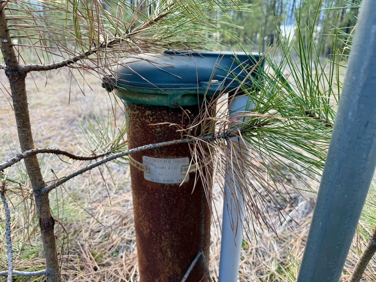 1199 Gold Edge Mine Rd - Photo 4