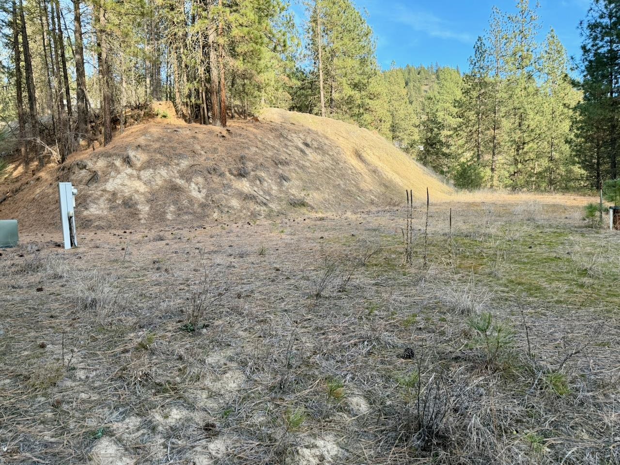 1199 Gold Edge Mine Rd - Photo 5