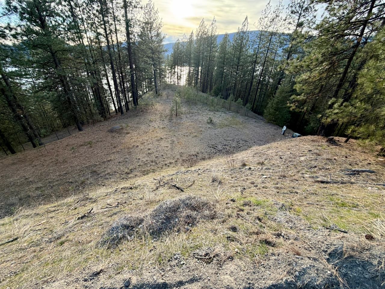 1199 Gold Edge Mine Rd - Photo 6