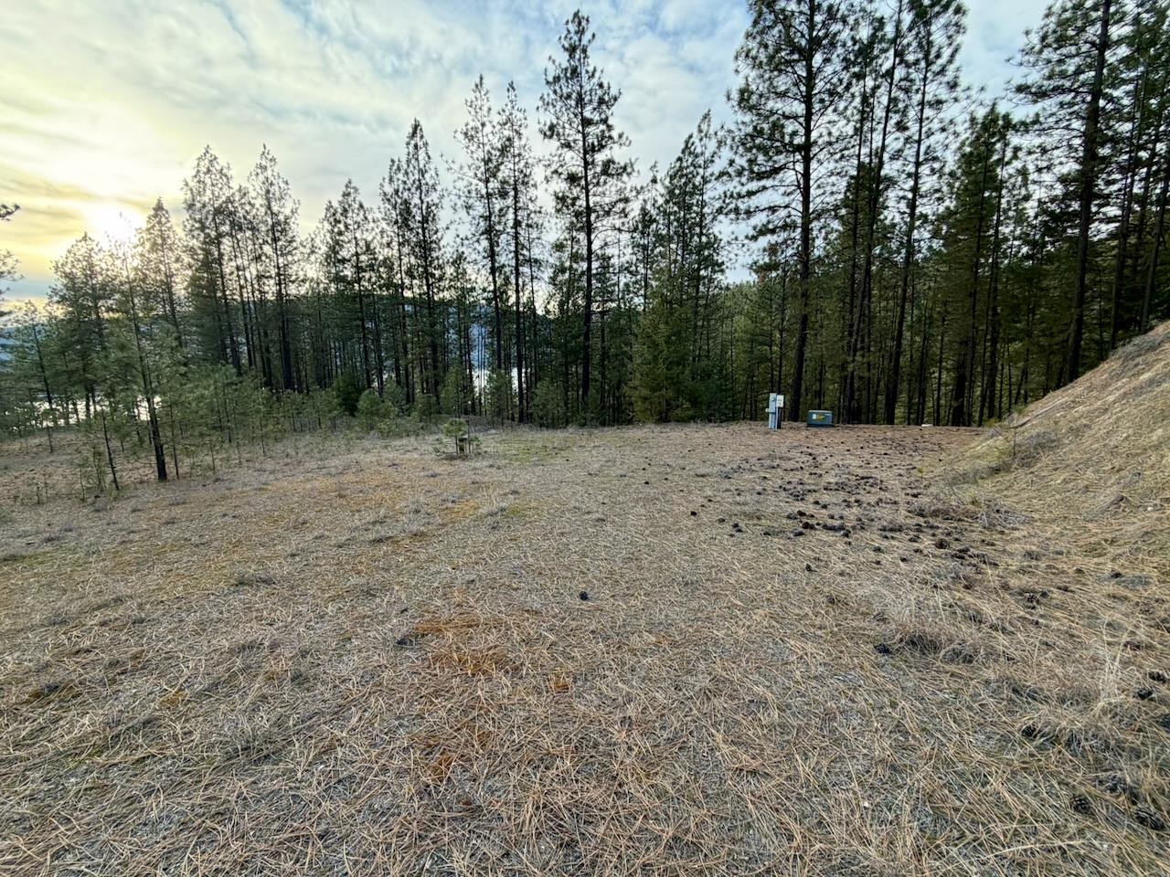 1199 Gold Edge Mine Rd - Photo 7