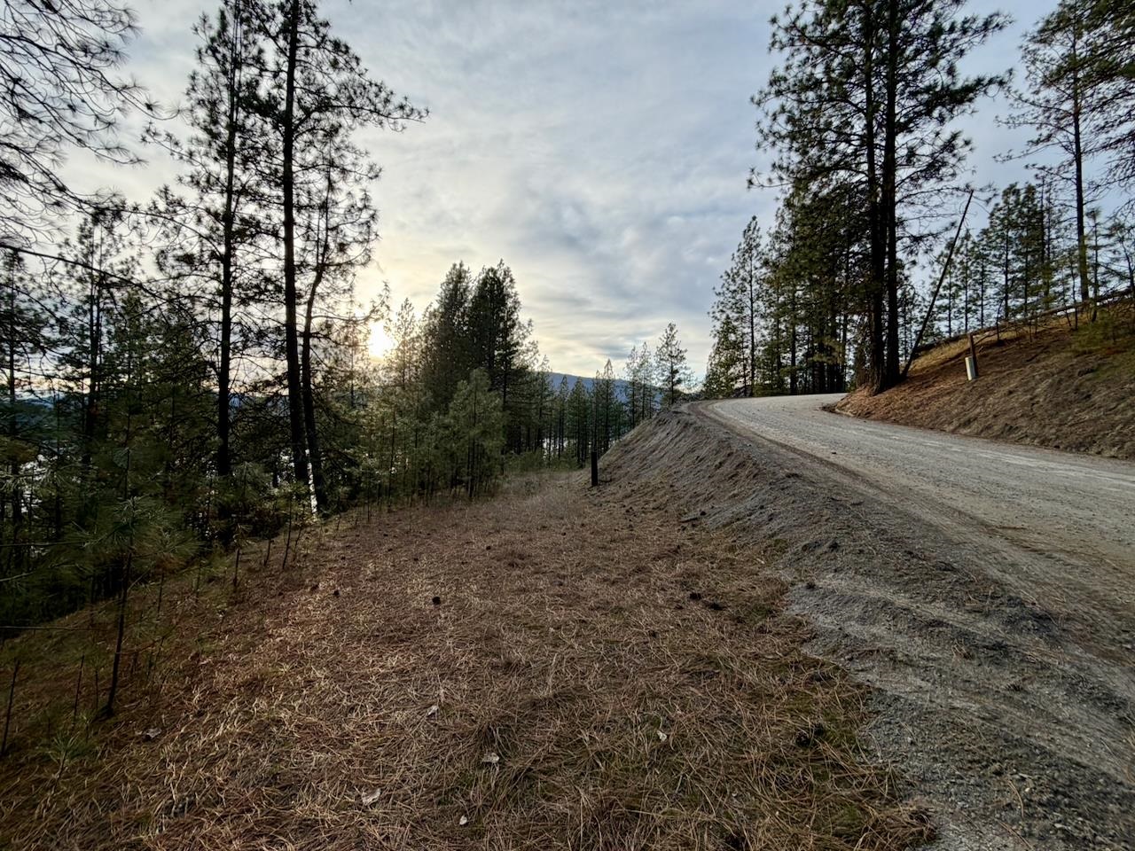 1199 Gold Edge Mine Rd - Photo 8