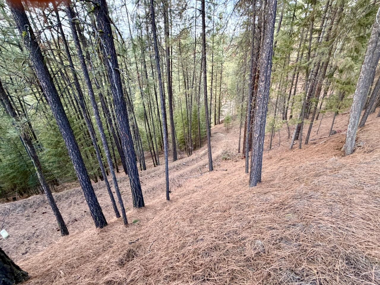 1199 Gold Edge Mine Rd - Photo 9