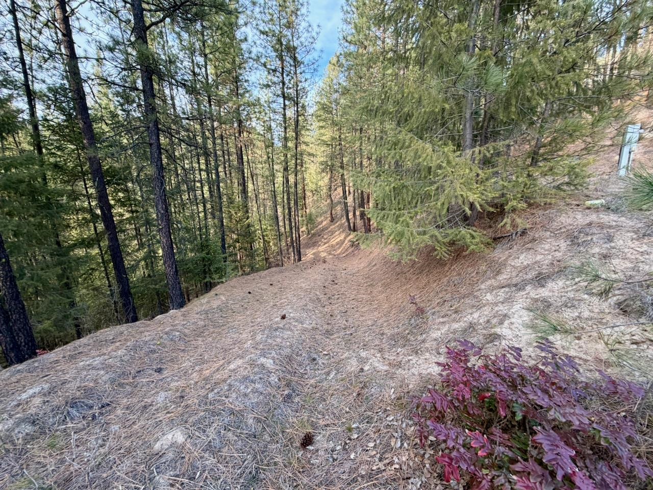 1199 Gold Edge Mine Rd - Photo 10