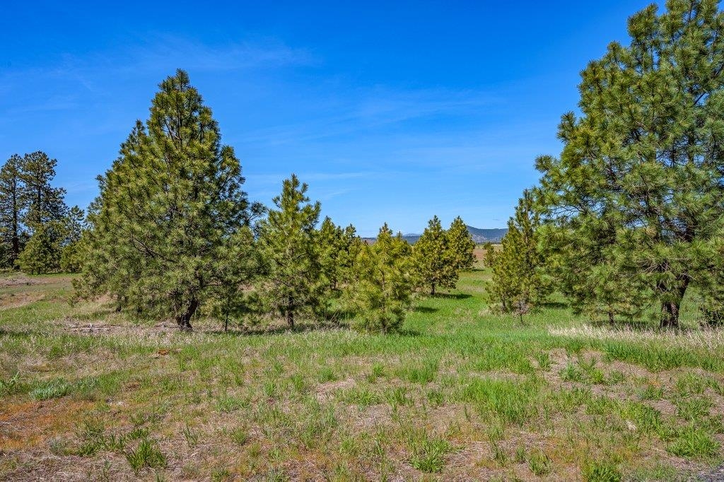 20122 W Johnson Ln - Photo 15